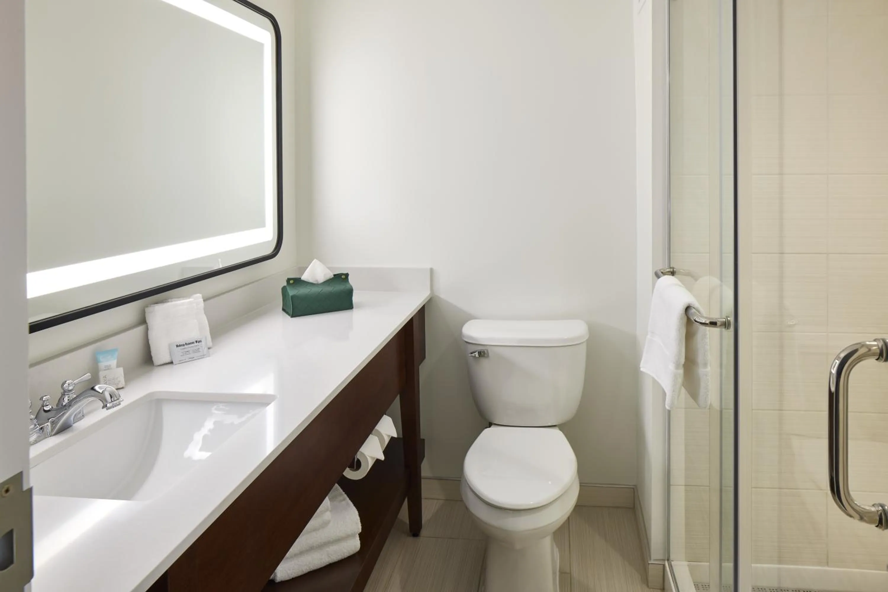 Bathroom in Ohio University Inn and Conference Center