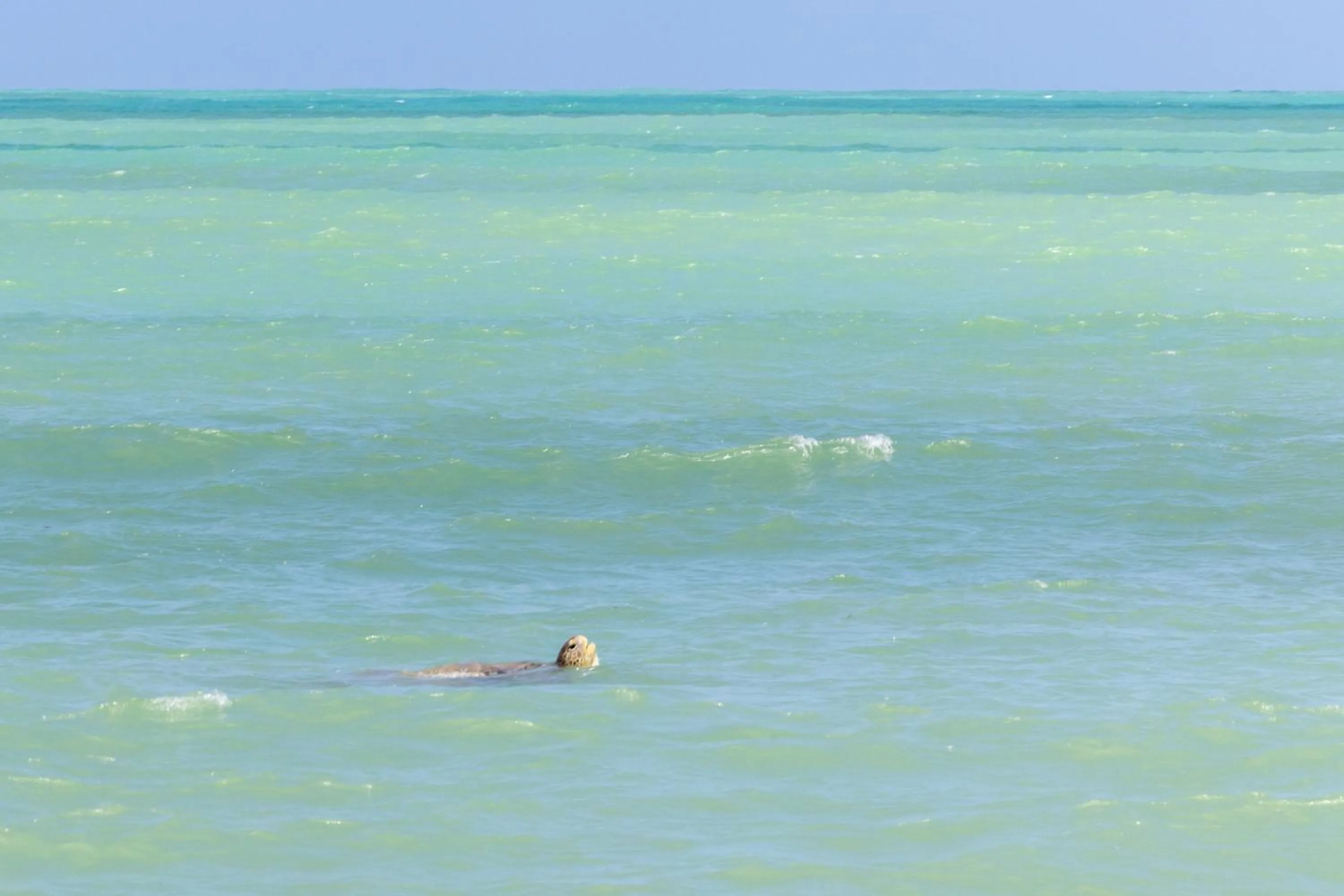 Beach in Pousada Aldeia Beijupirá