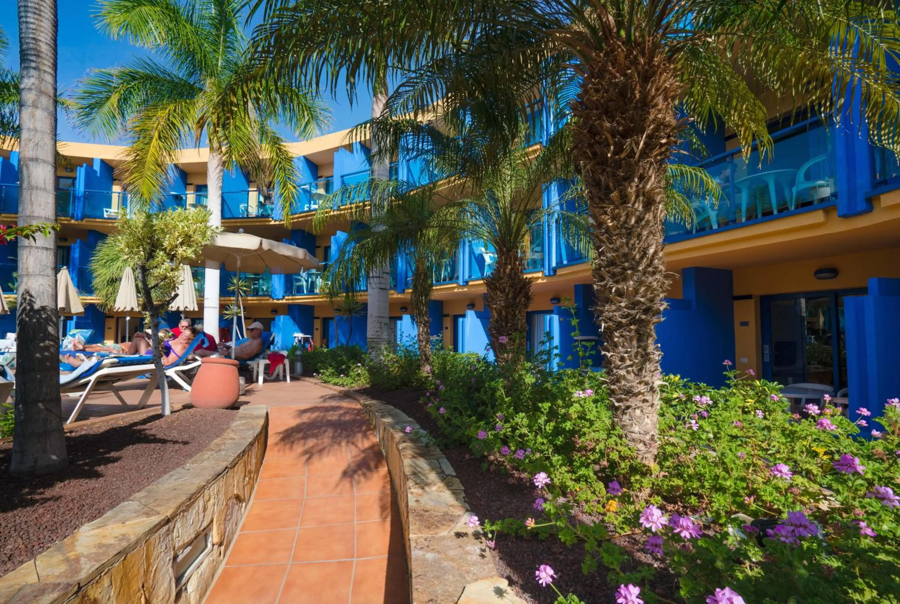 Garden in BLUESEA Jandia Luz