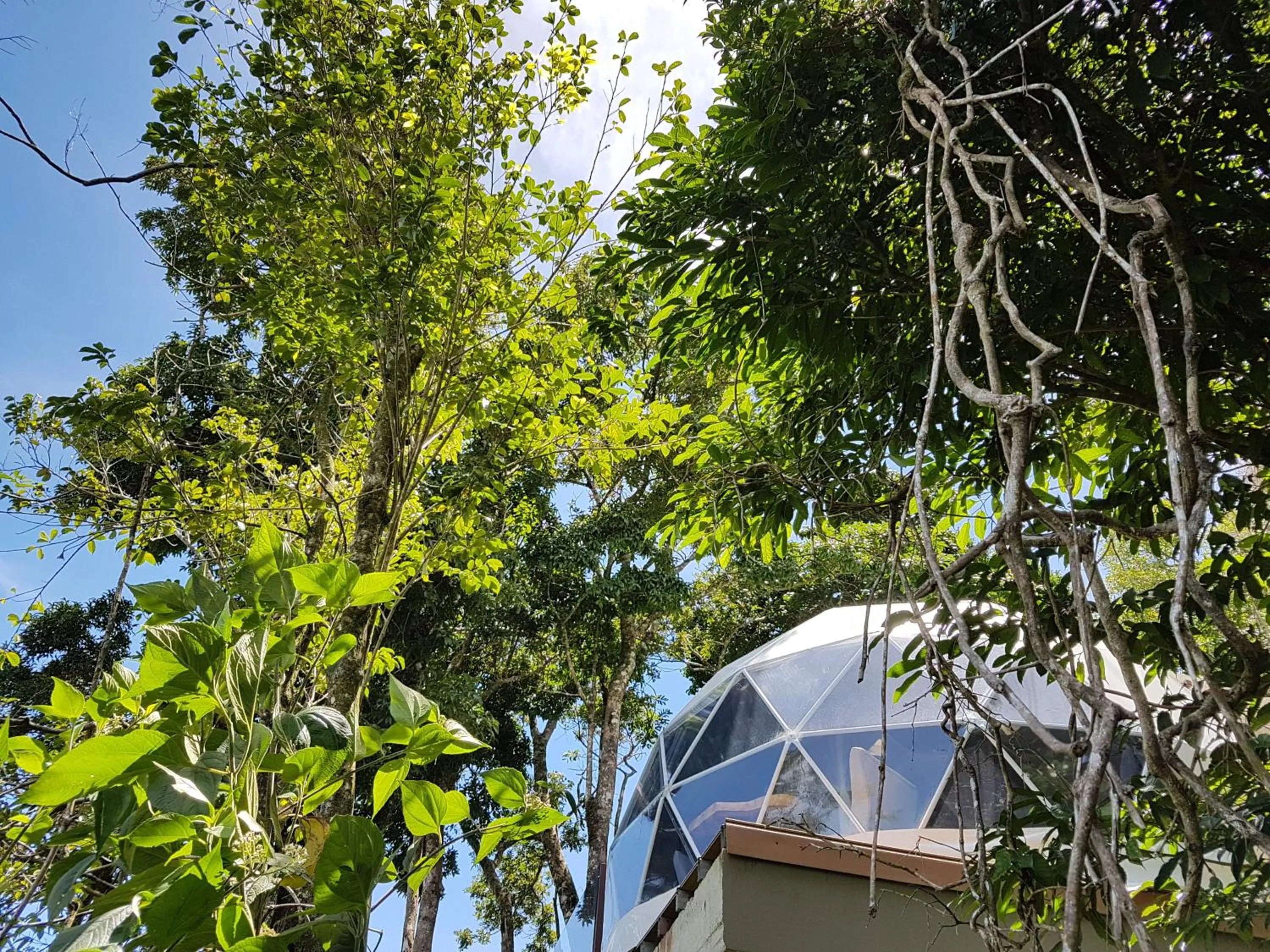 Chira Glamping Resort Monteverde