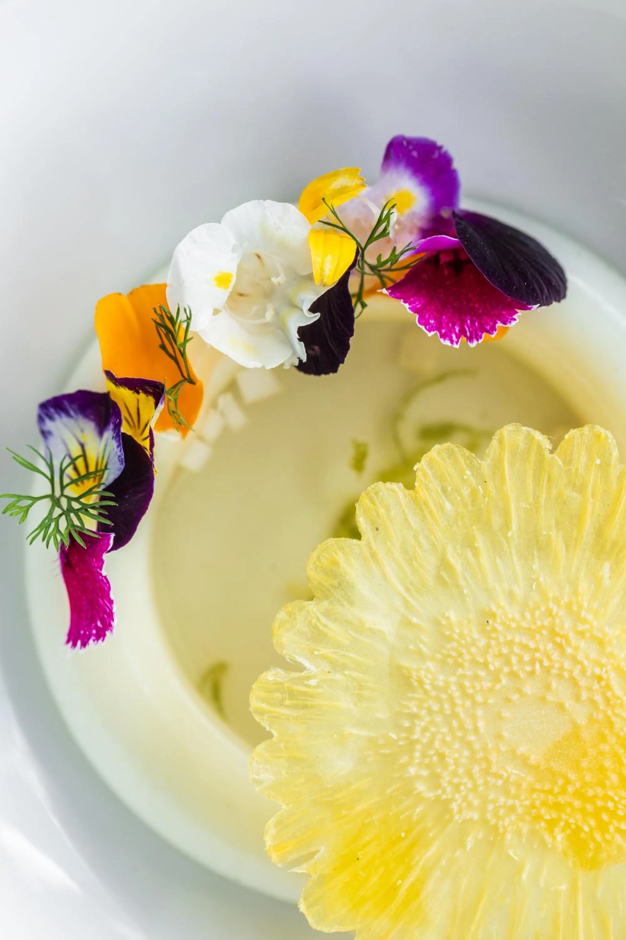 Chira Glamping Resort Monteverde