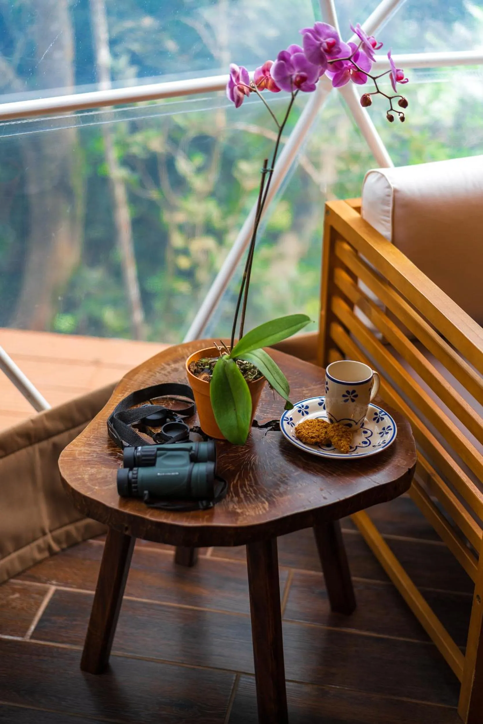 Chira Glamping Resort Monteverde