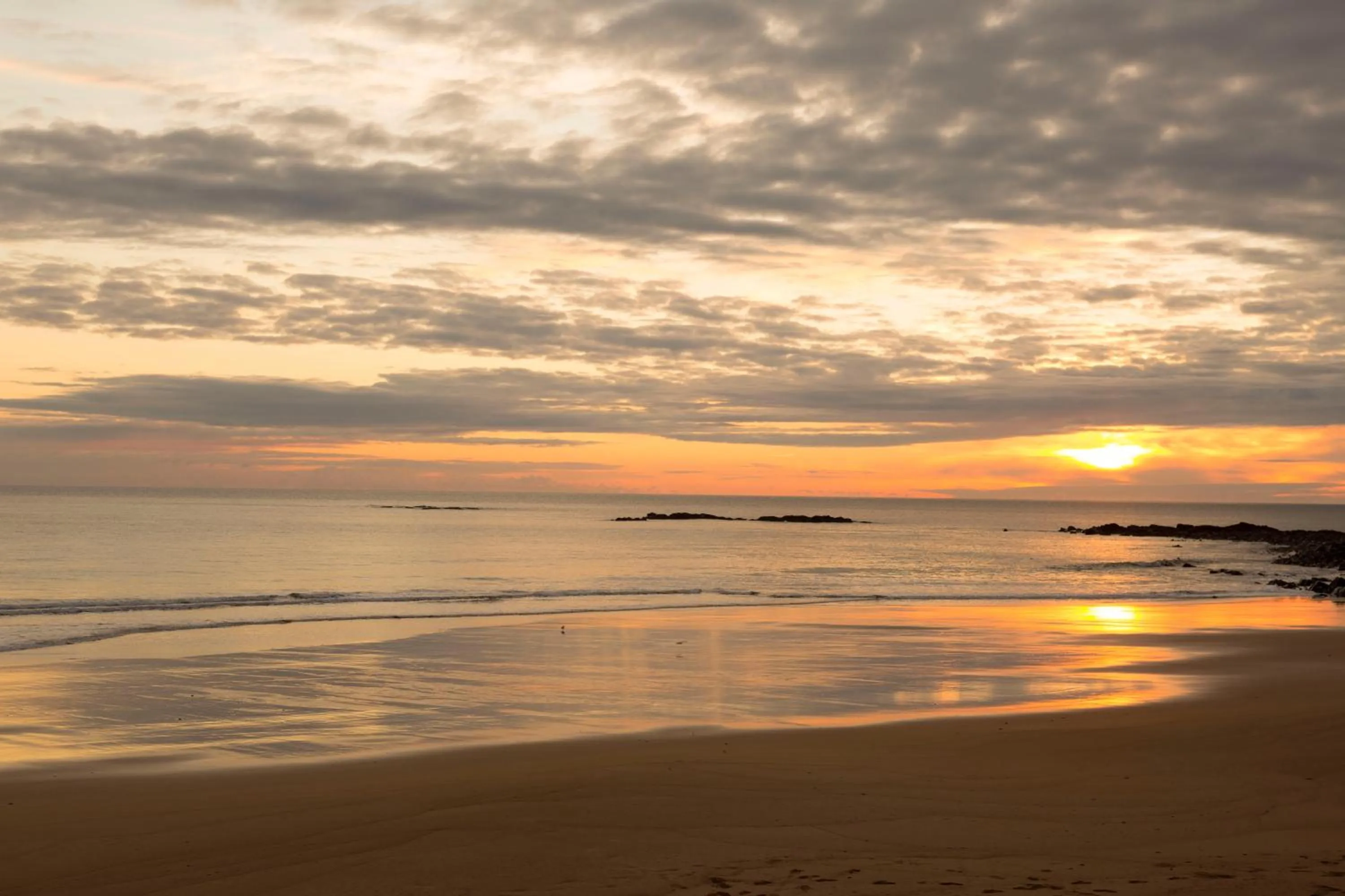 Natural landscape in Beach Hotel