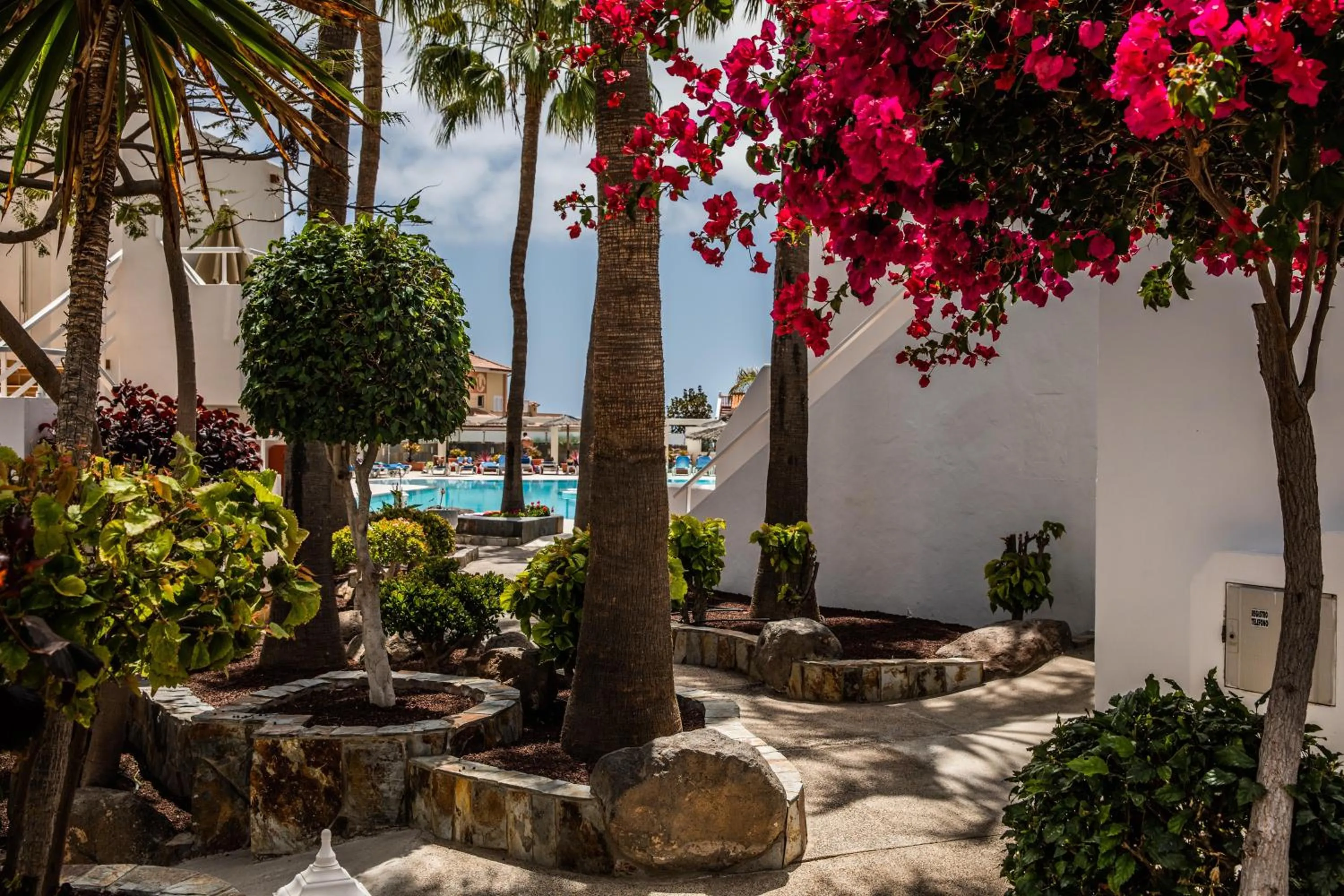 Garden in Bahia Calma Beach