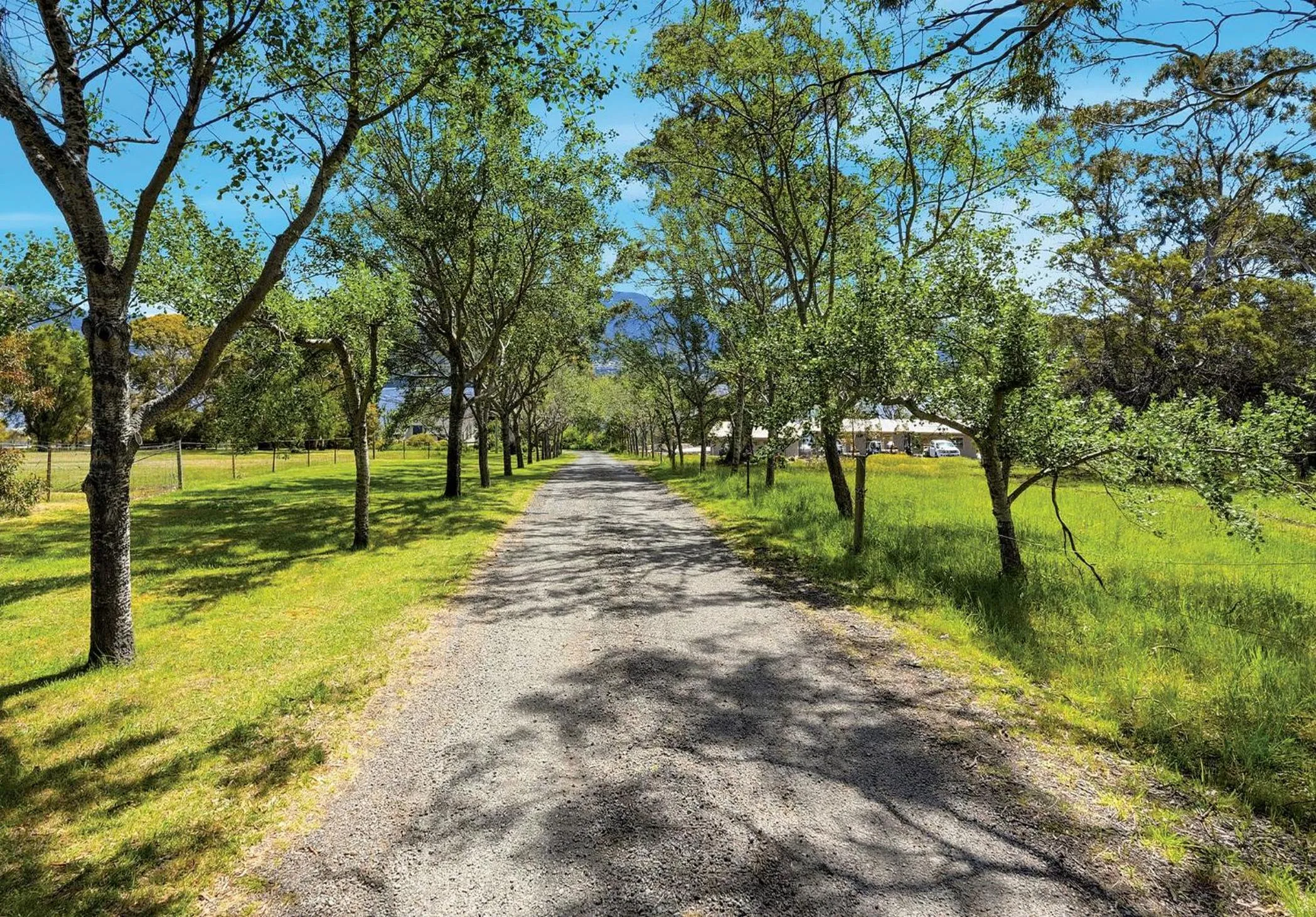 Facade/entrance in Otago Cottage