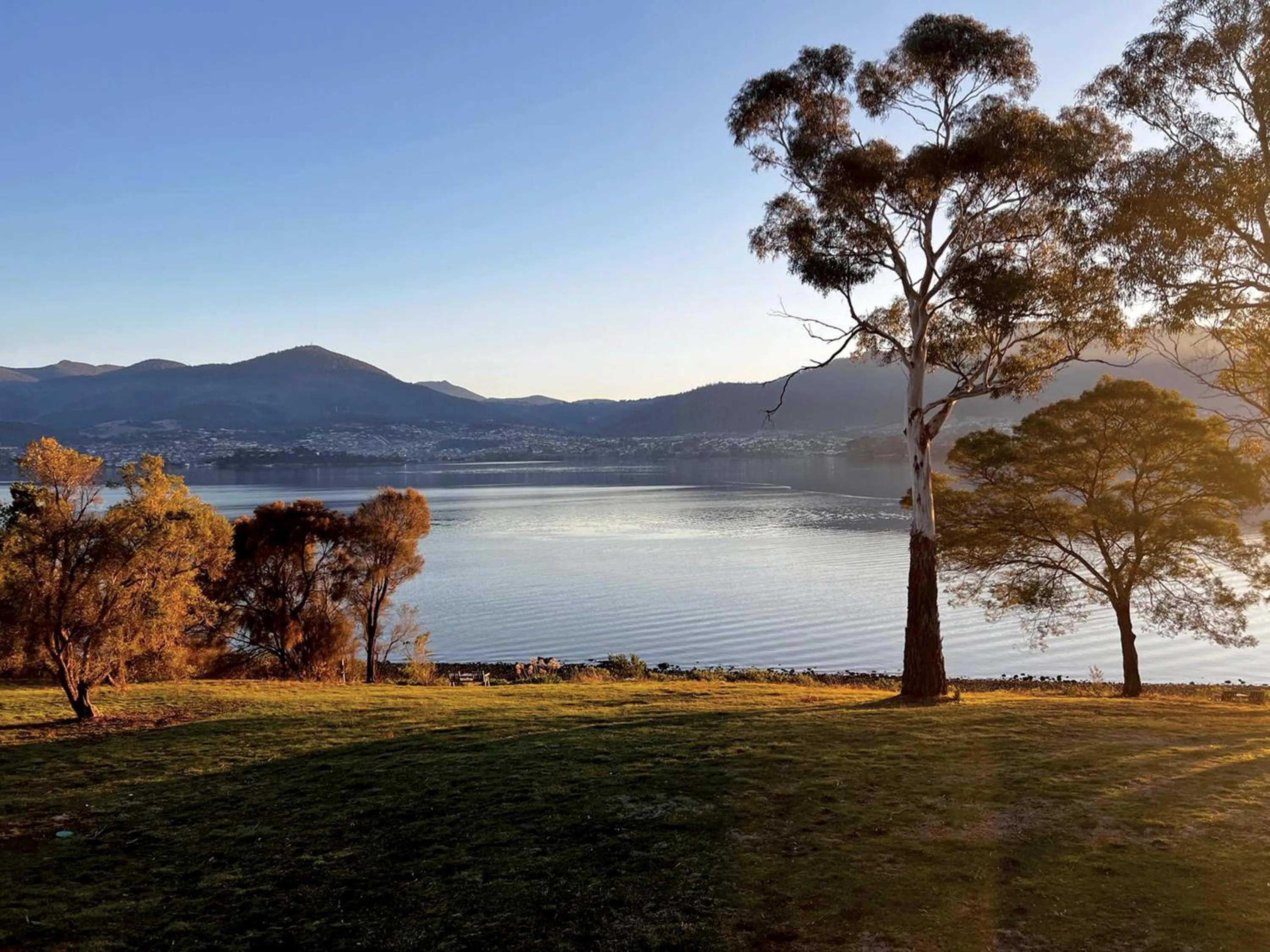Natural landscape in Otago Cottage