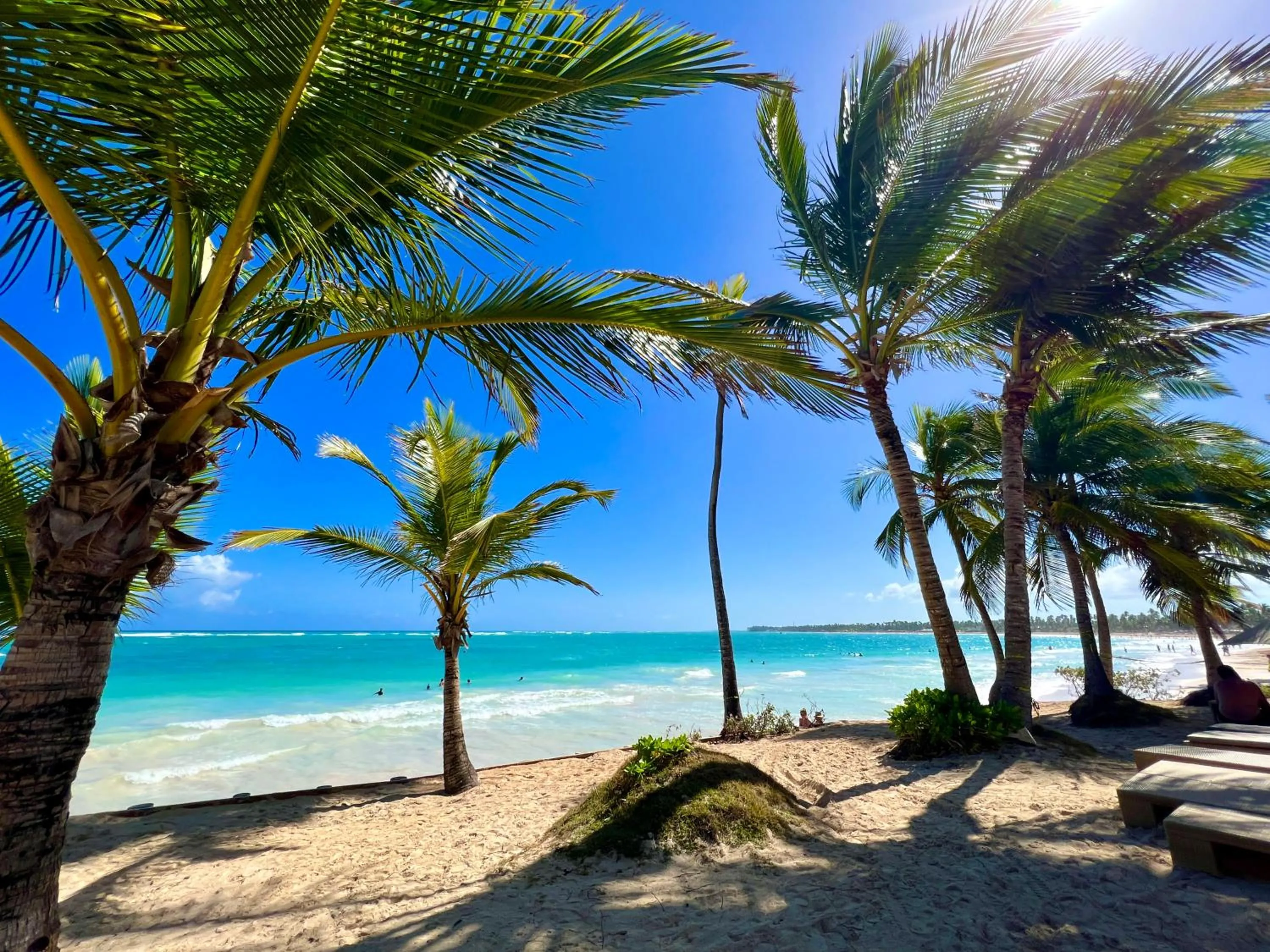 Beach in VIK Hotel Cayena Beach All Inclusive