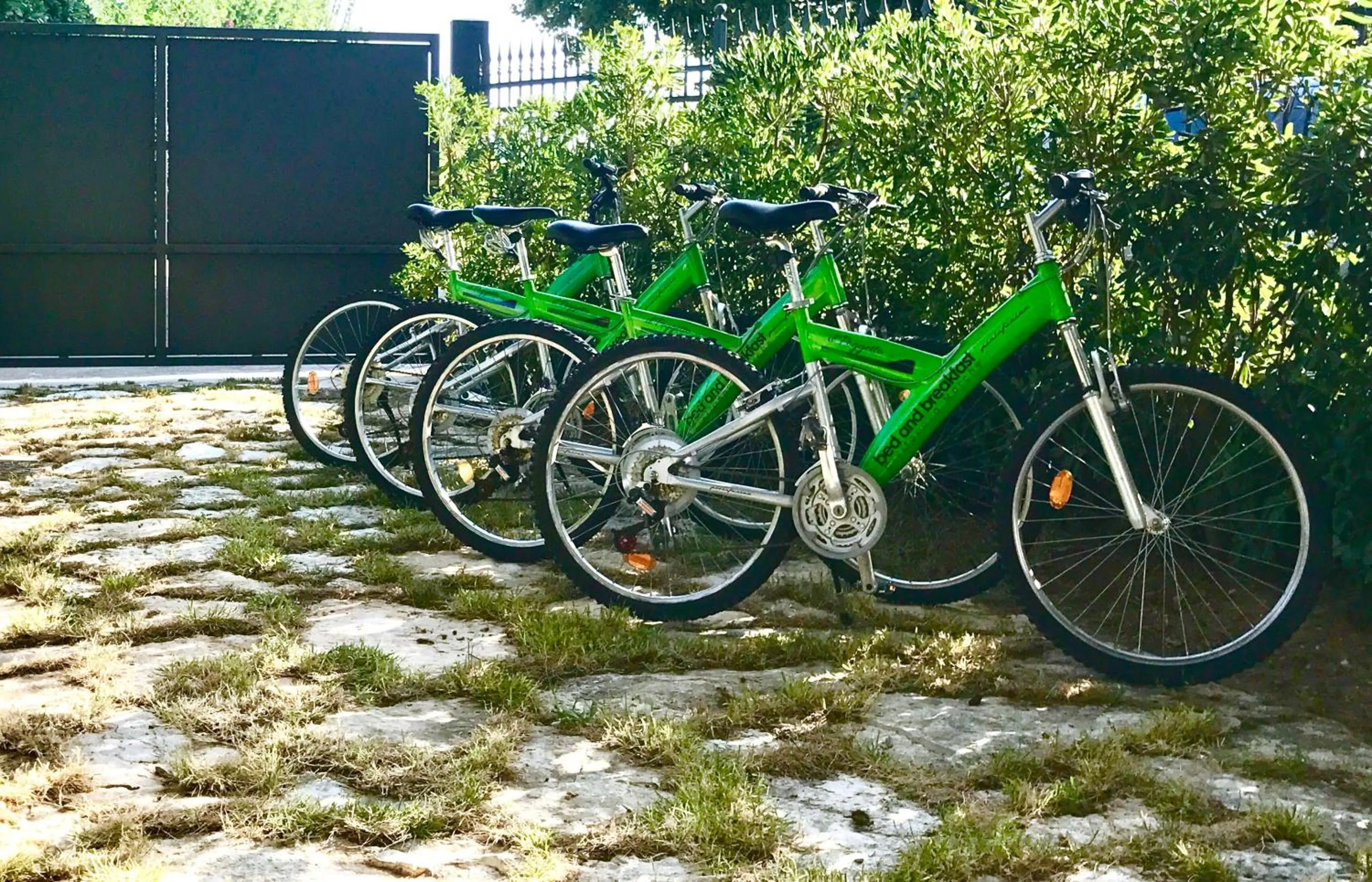 Cycling in IlPoggetto Bed&Breakfast