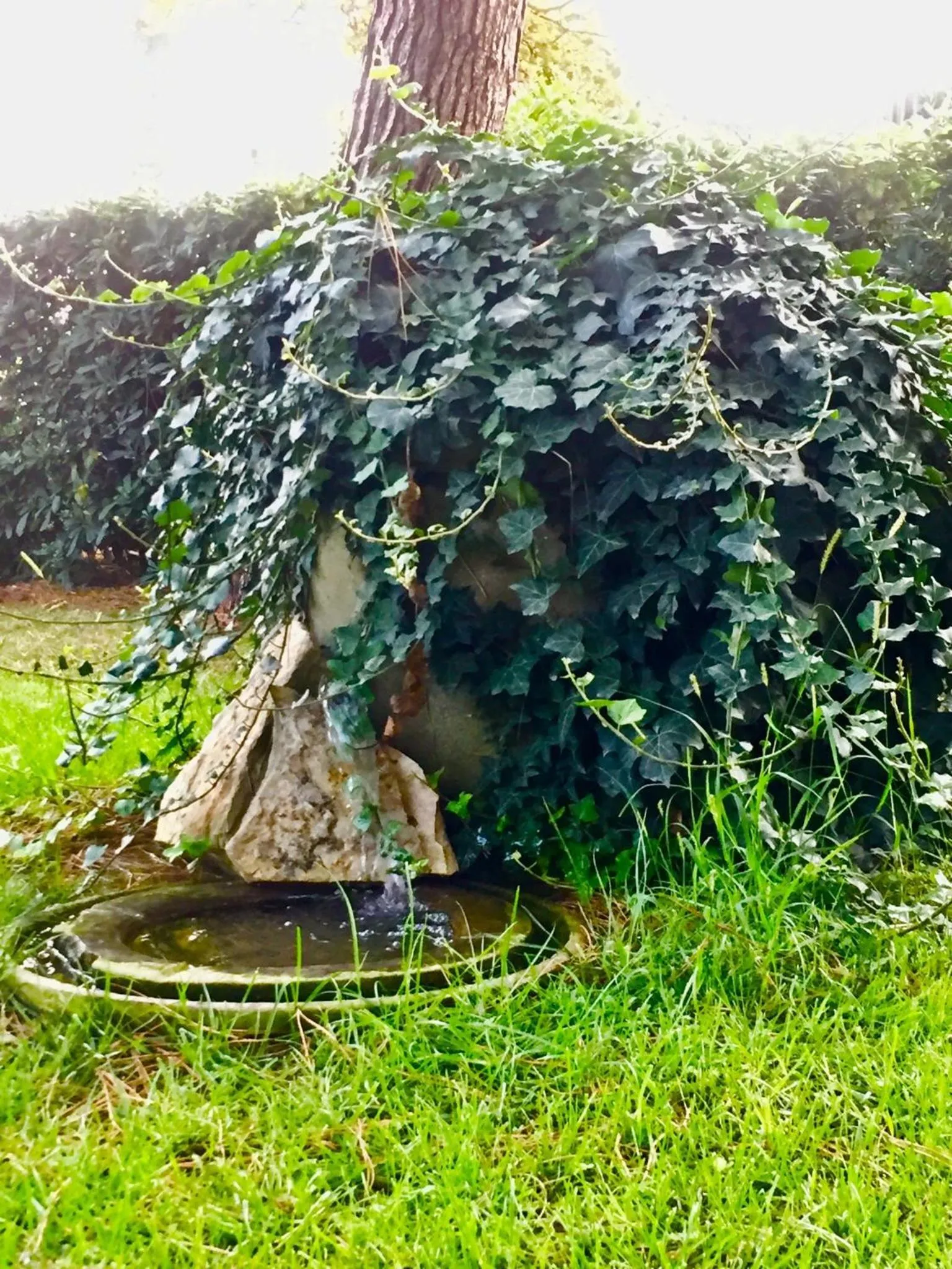 IlPoggetto Bed&Breakfast