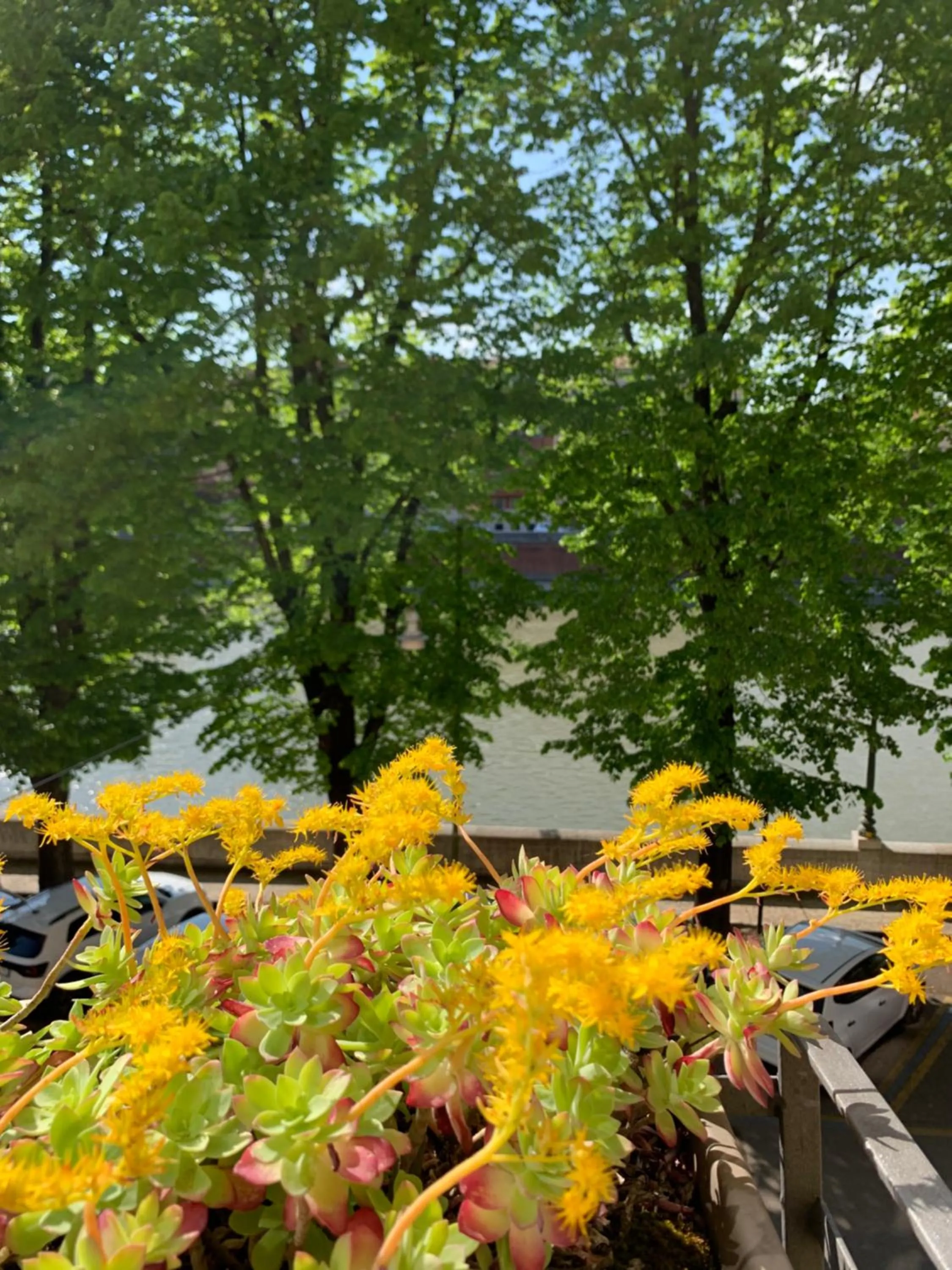 Day in Notti sull'Adige