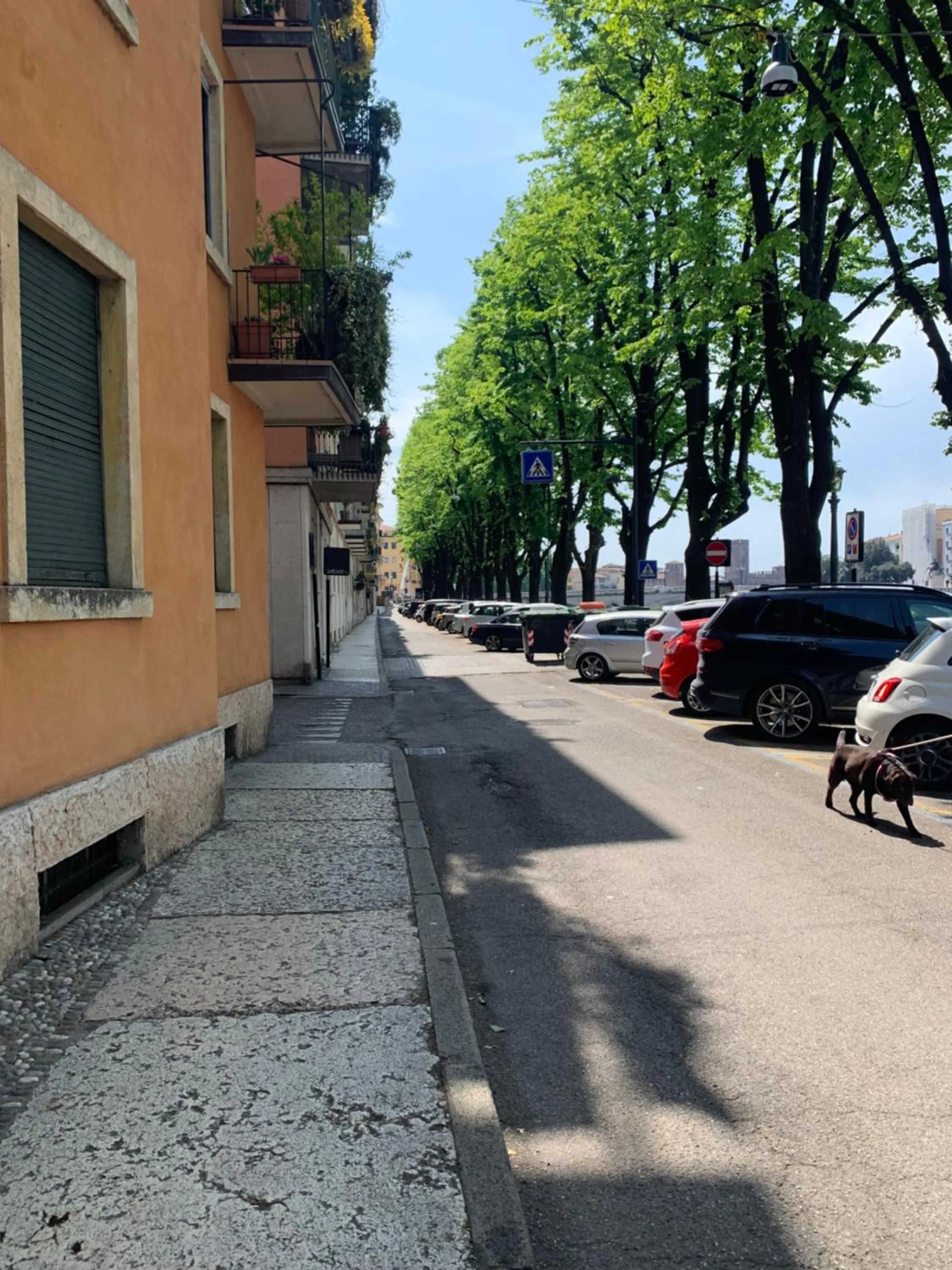 Street view in Notti sull'Adige