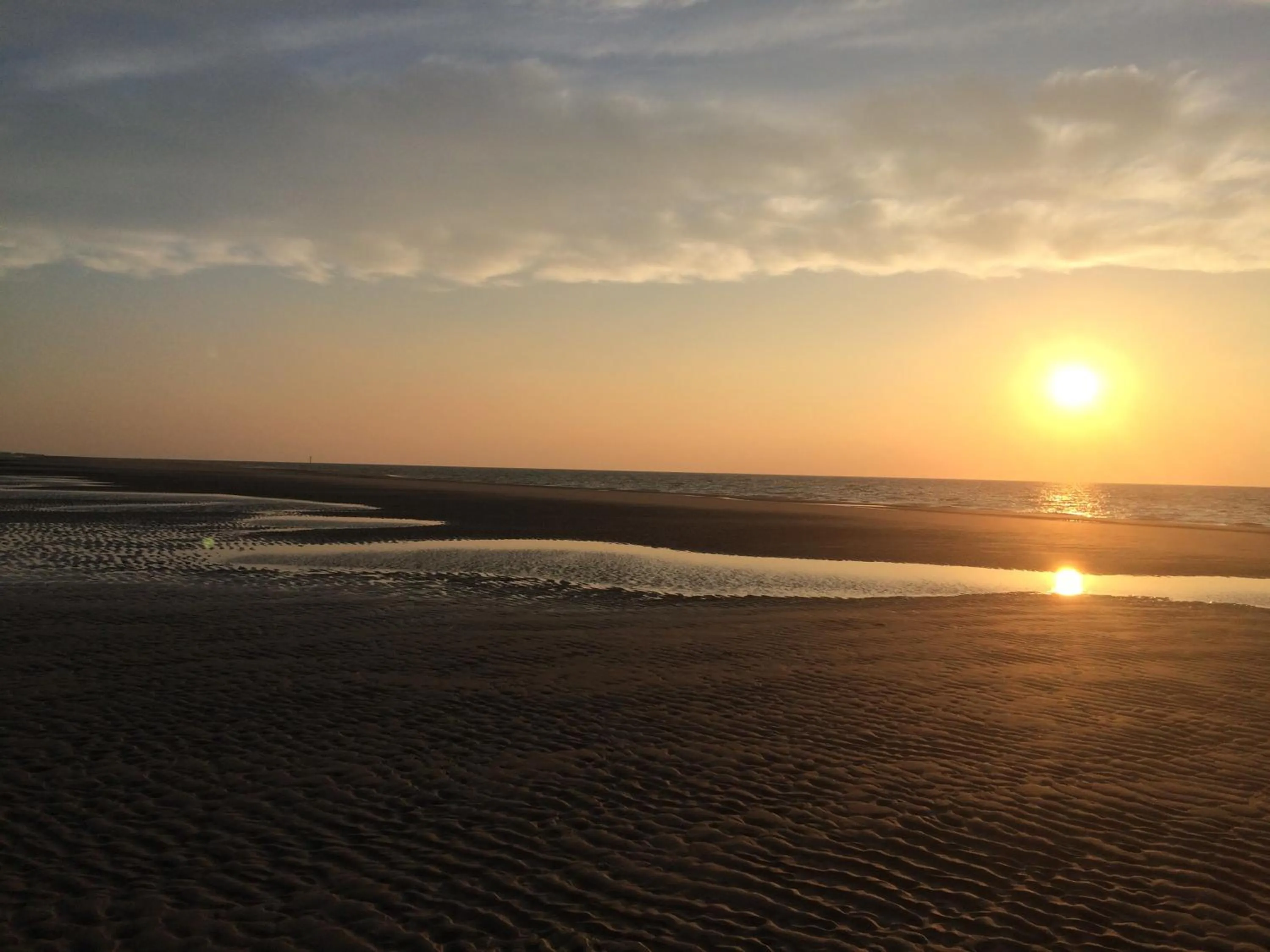 Summer in Hotel Blooker