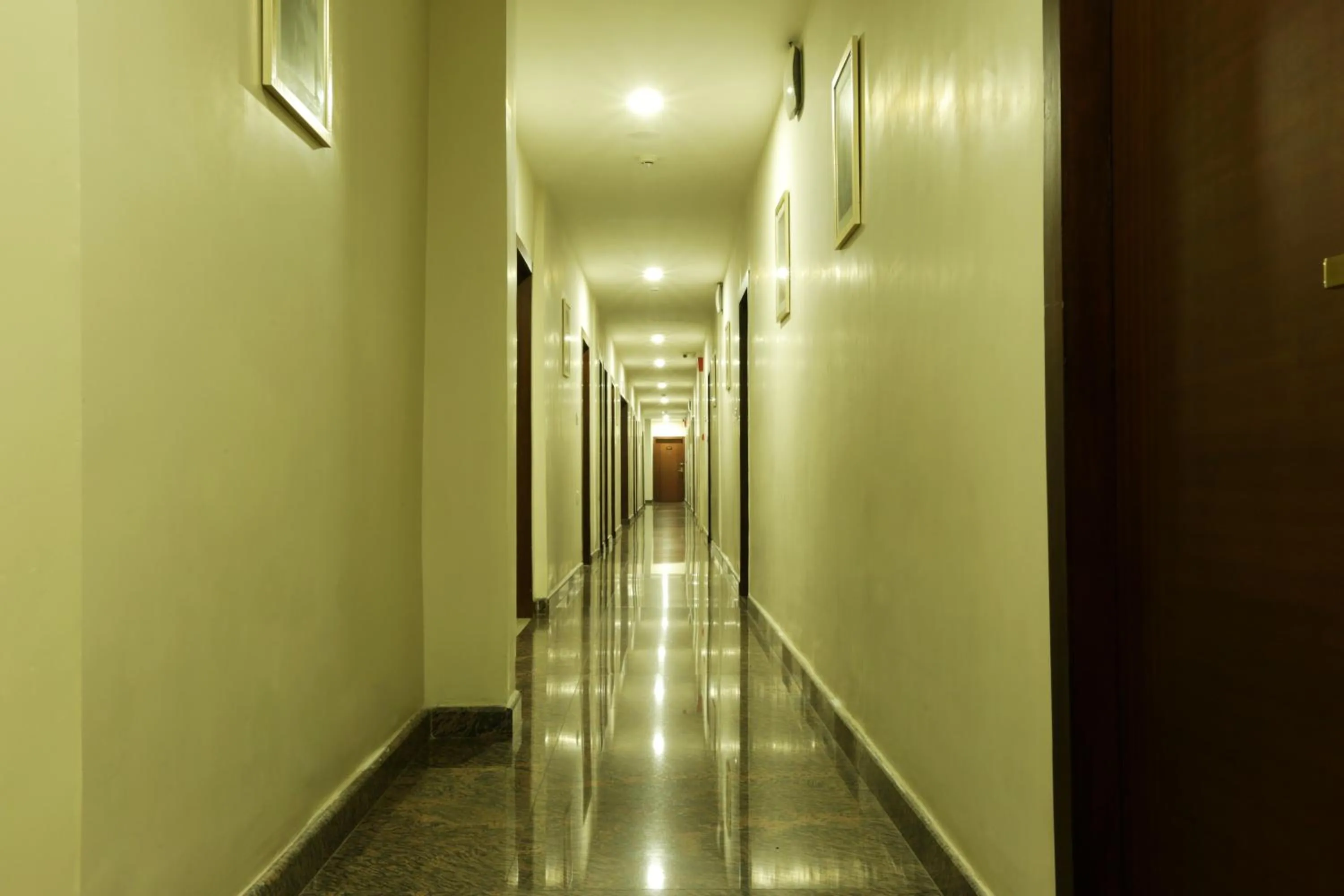 Area and facilities in Hotel D Courtyard