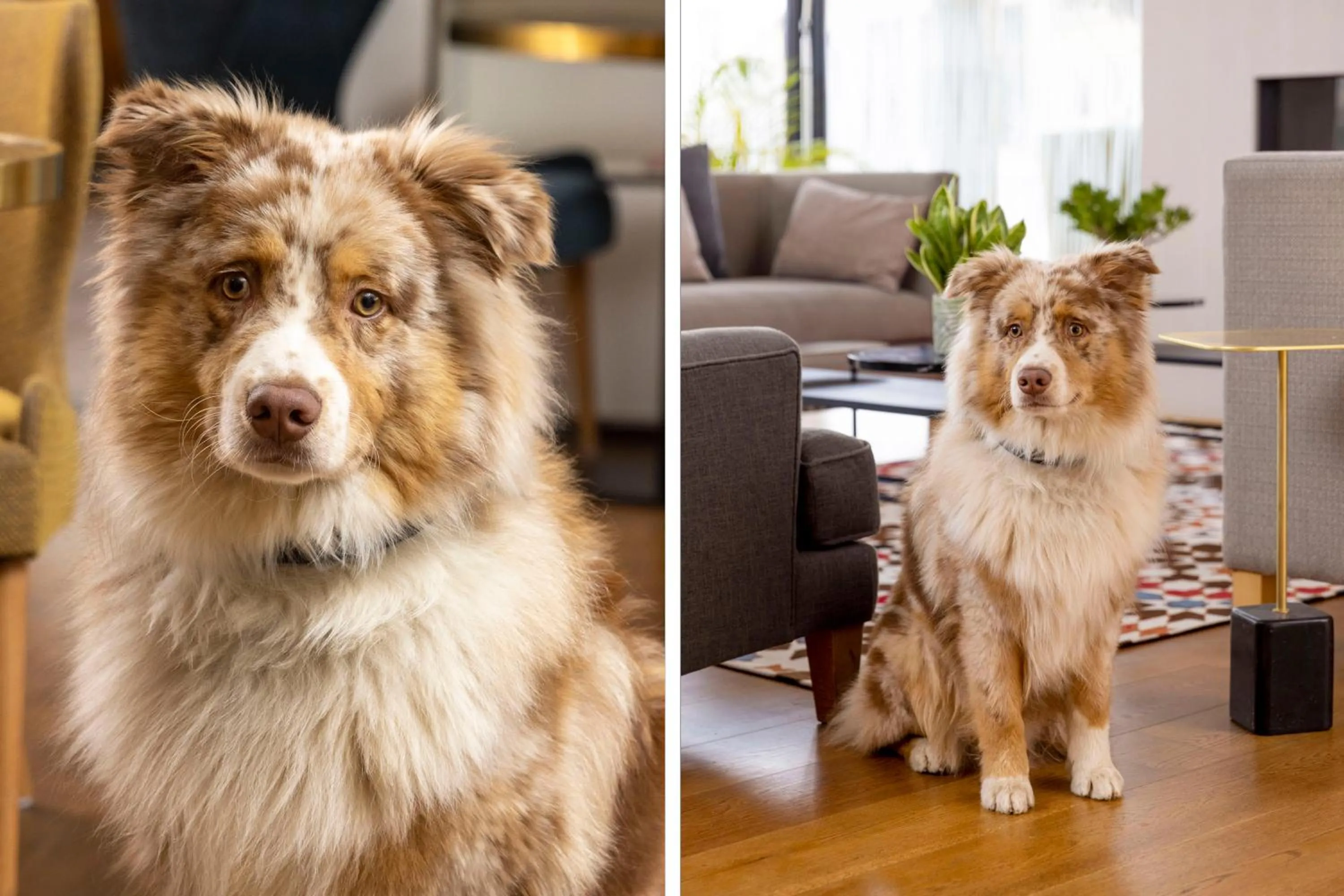 James Boutique Hôtel Colmar centre