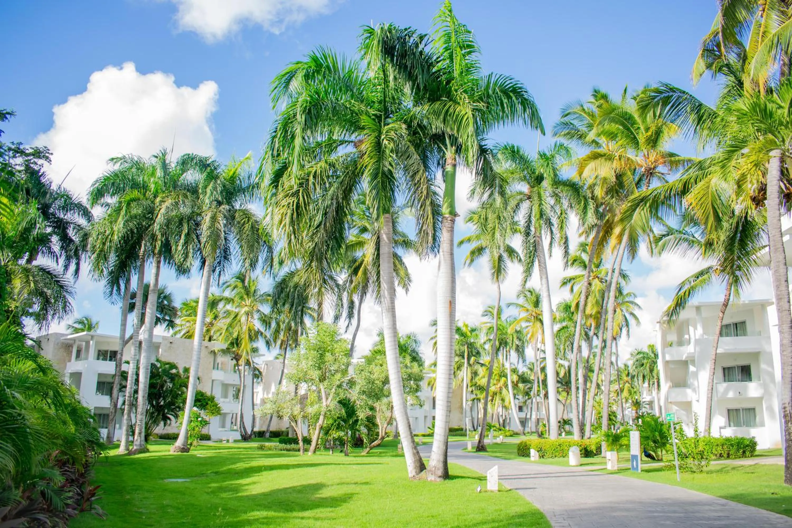 Garden in Grand Bavaro Princess - All Inclusive