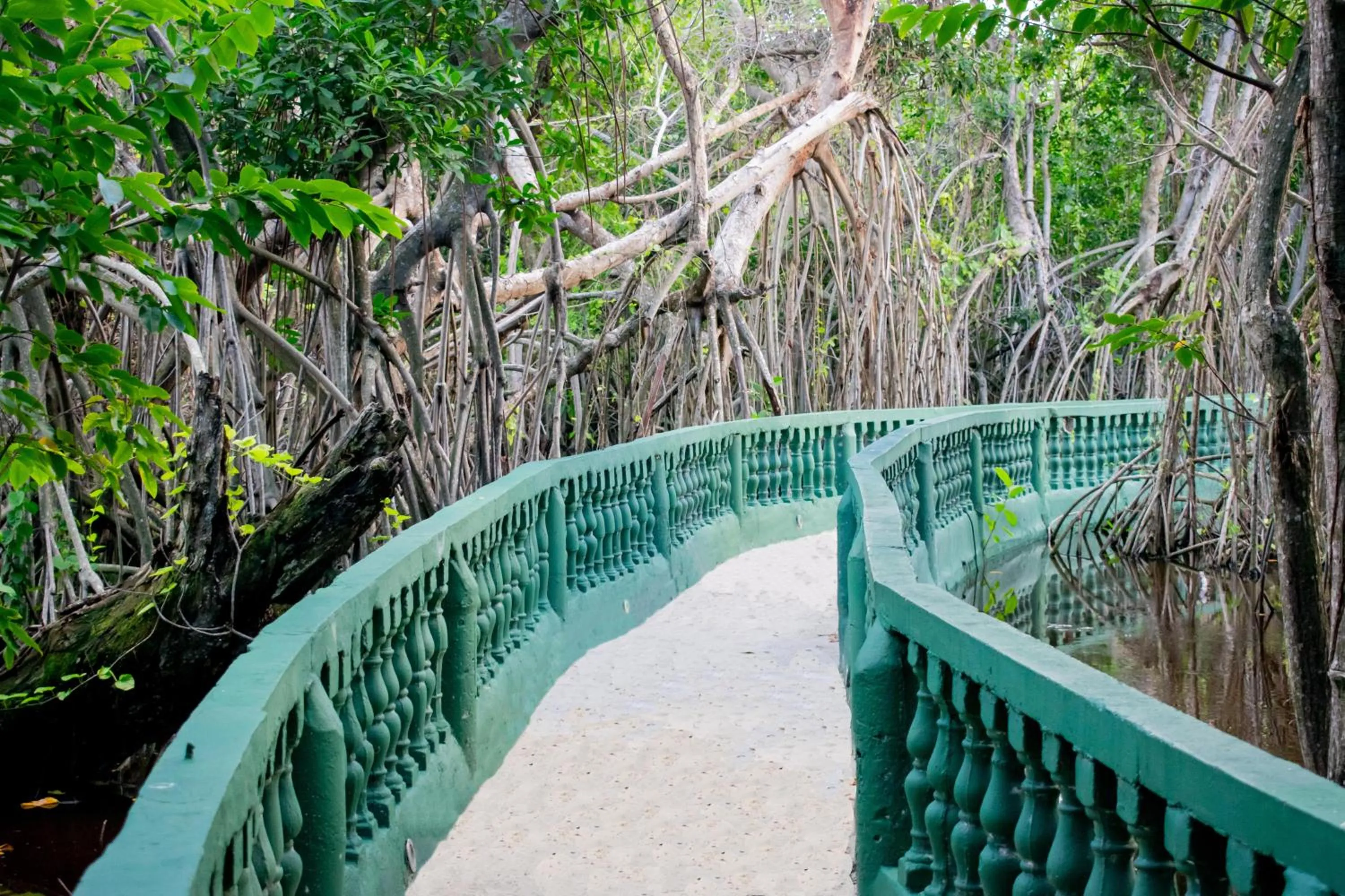 Garden in Grand Bavaro Princess - All Inclusive