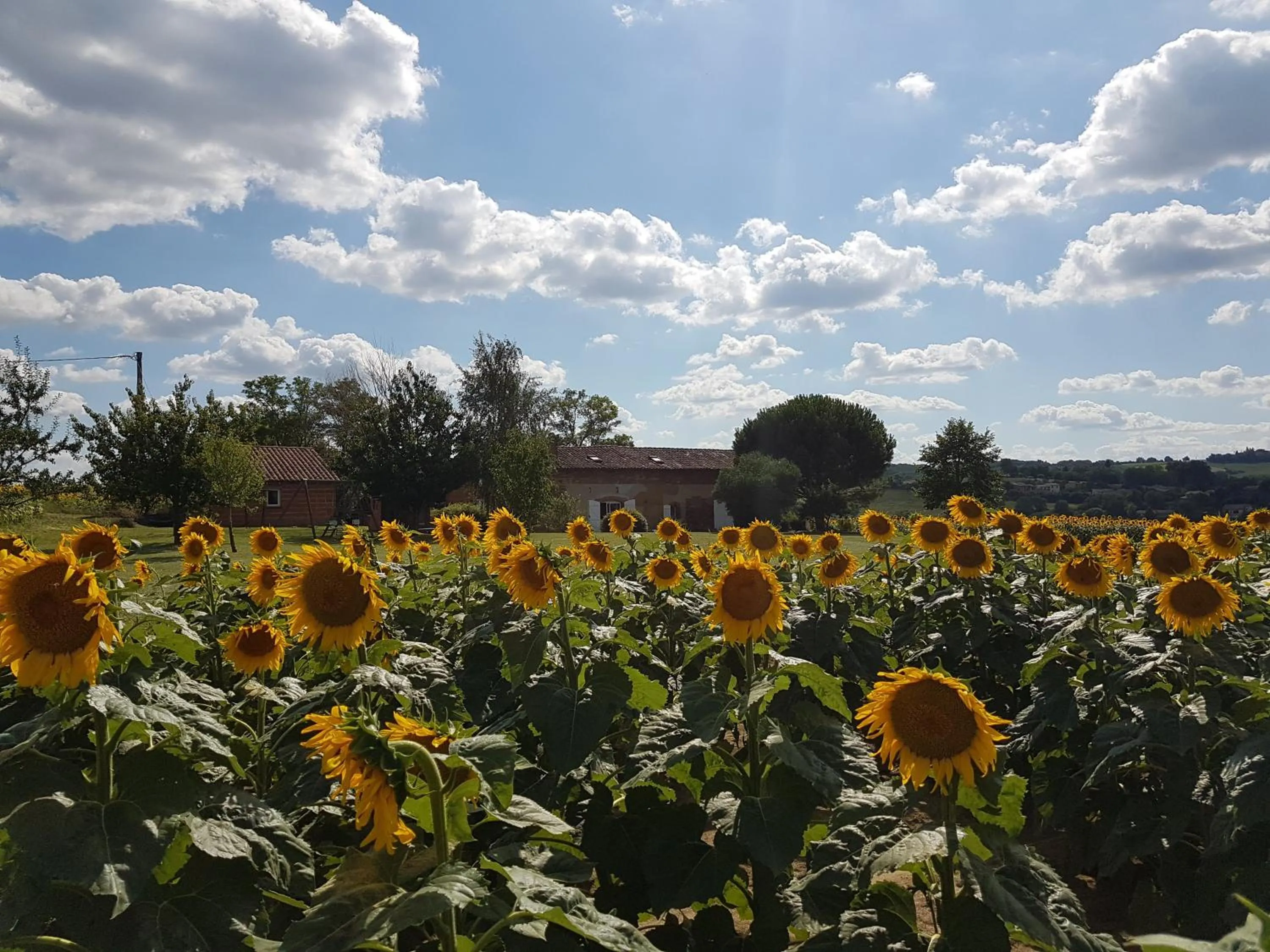 Garden view in Les Hauts de Sames