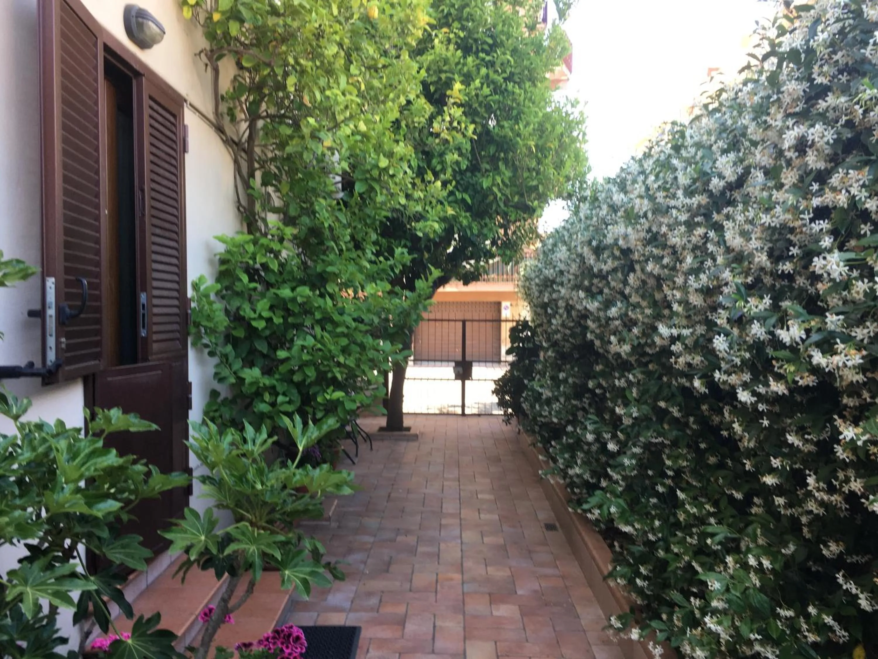 Apartment - single occupancy - Ground Floor in Casetta