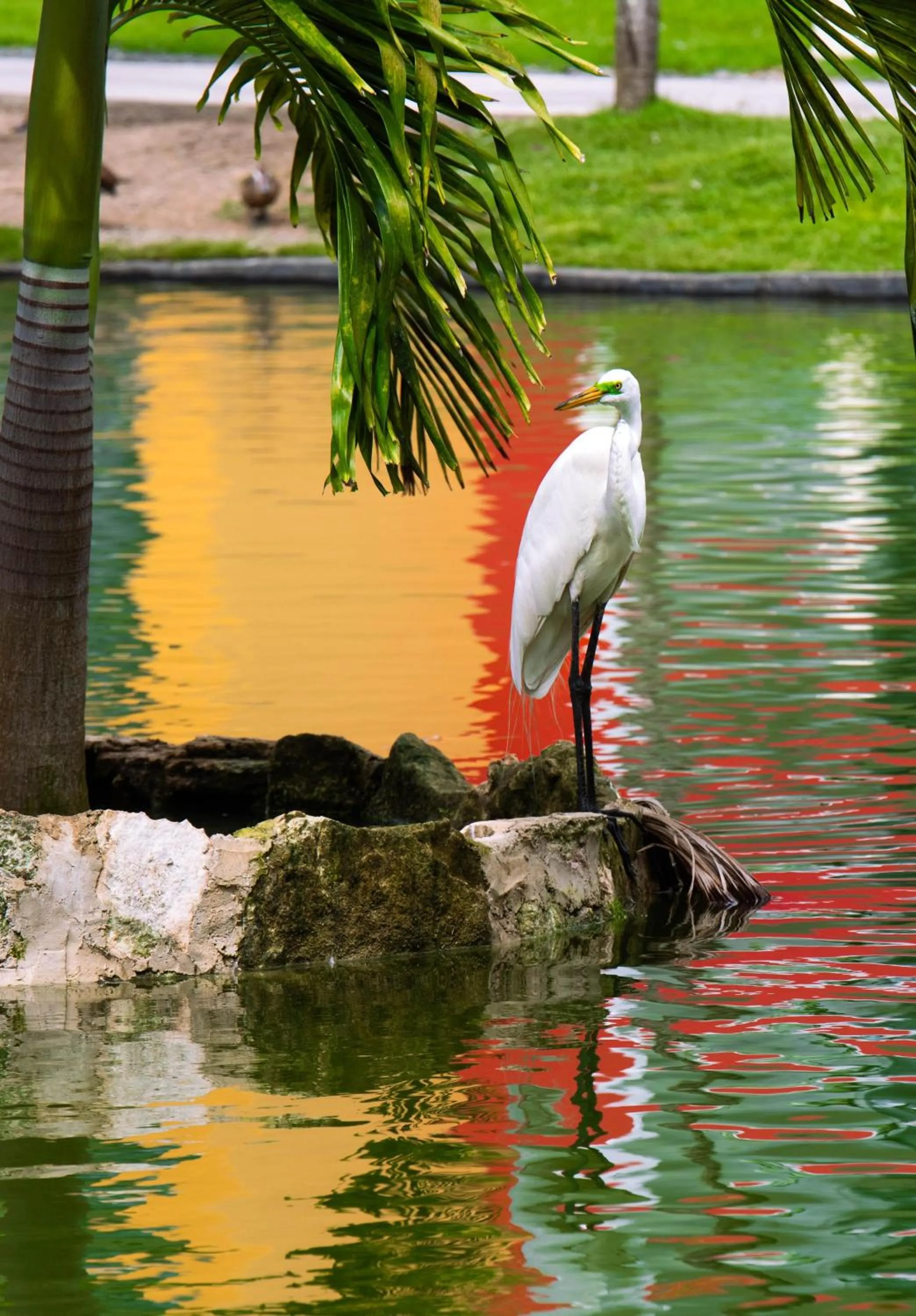 Property building in Caribe Deluxe Princess - All Inclusive