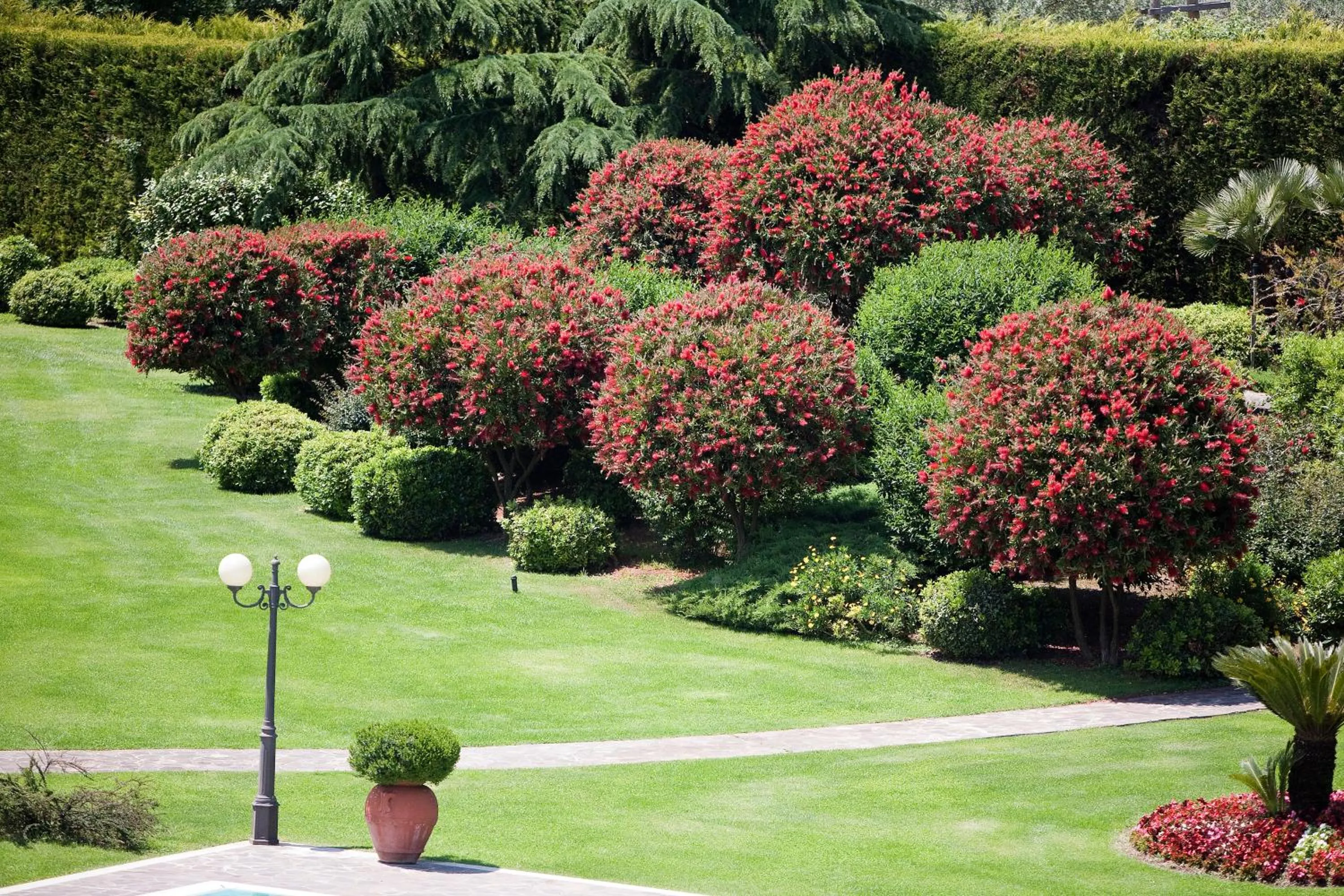 Garden in Sunny Palace Hotel Restaurant