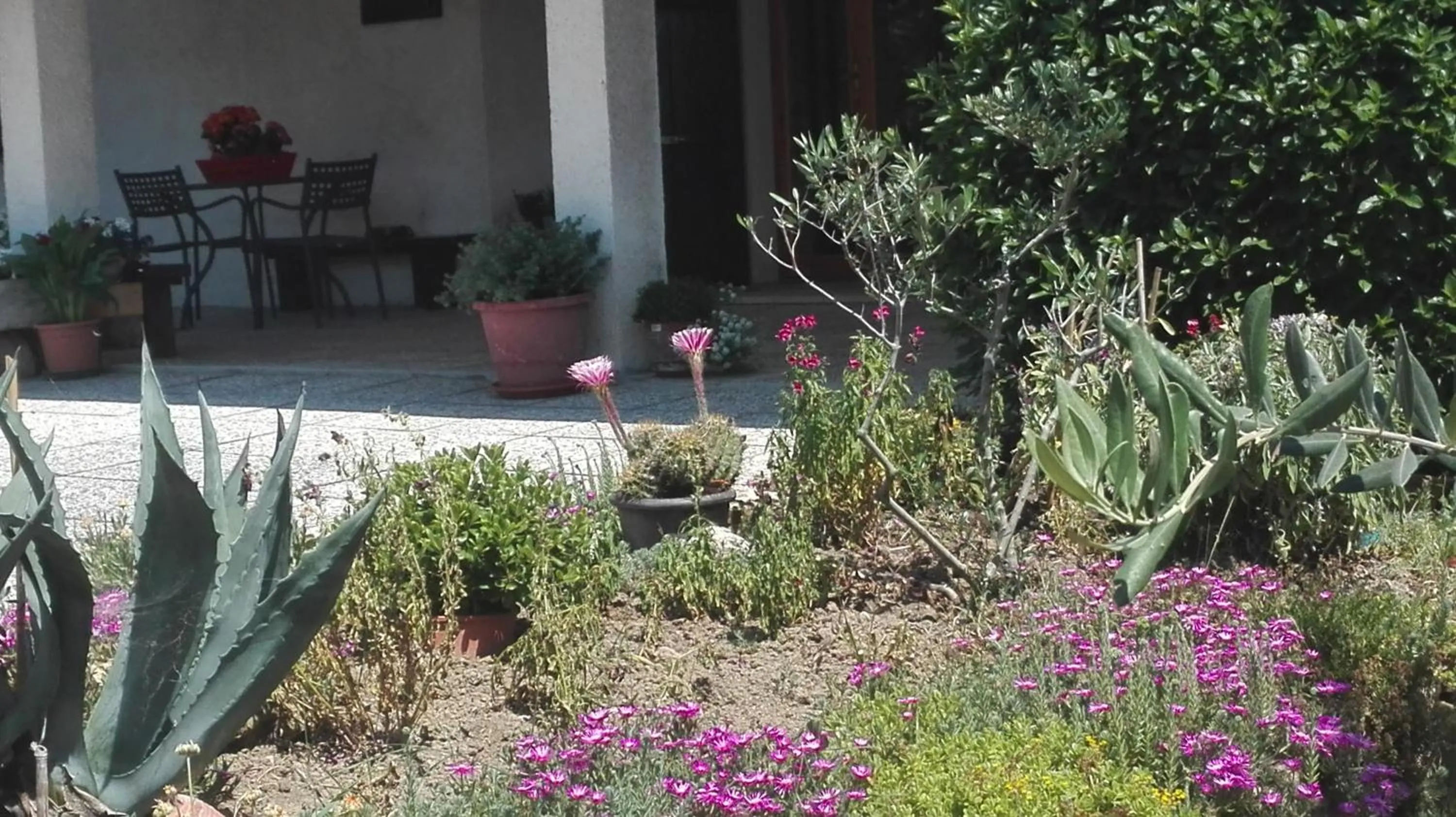 Facade/entrance in B&B RIPALTA