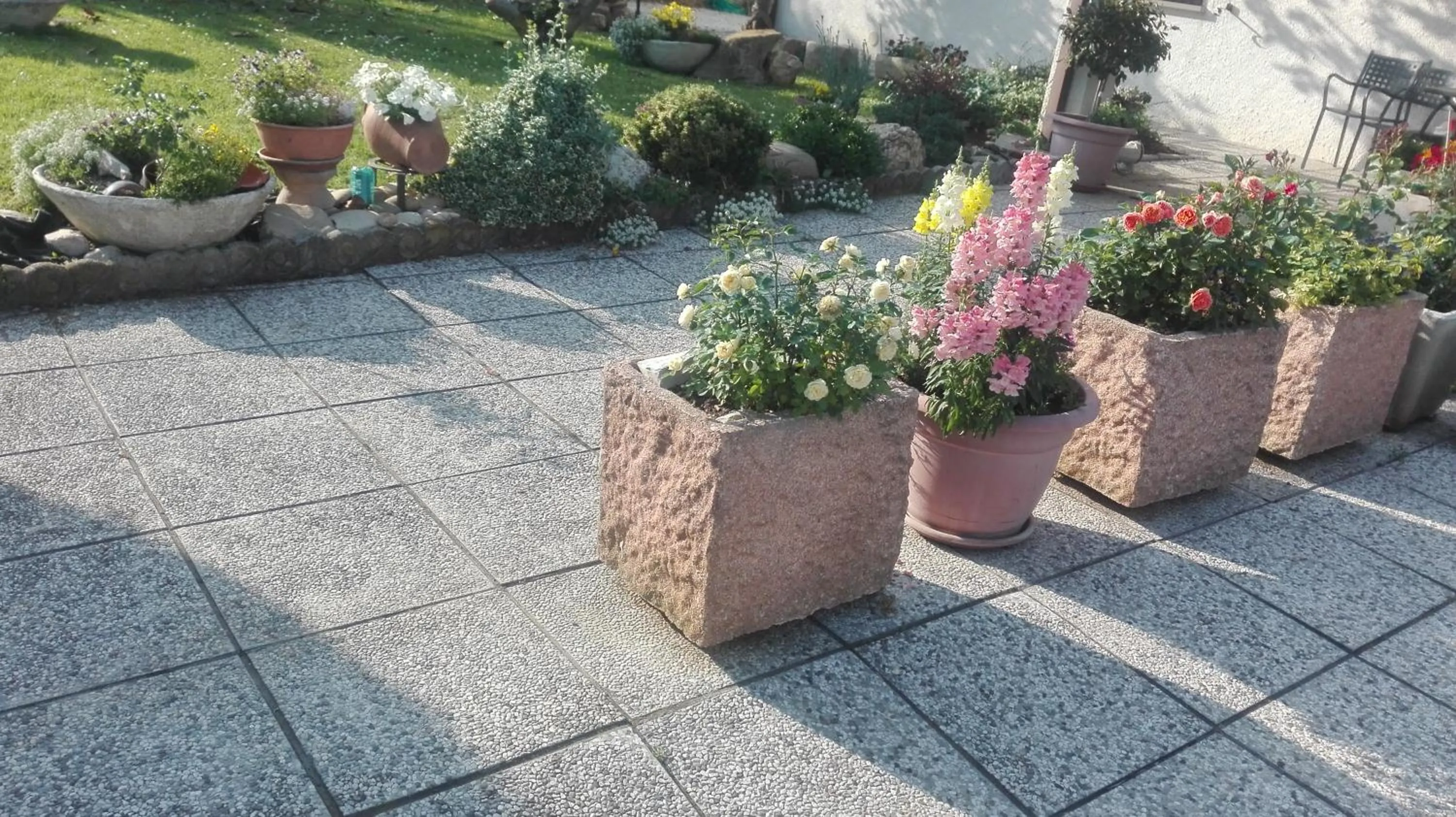 Garden in B&B RIPALTA