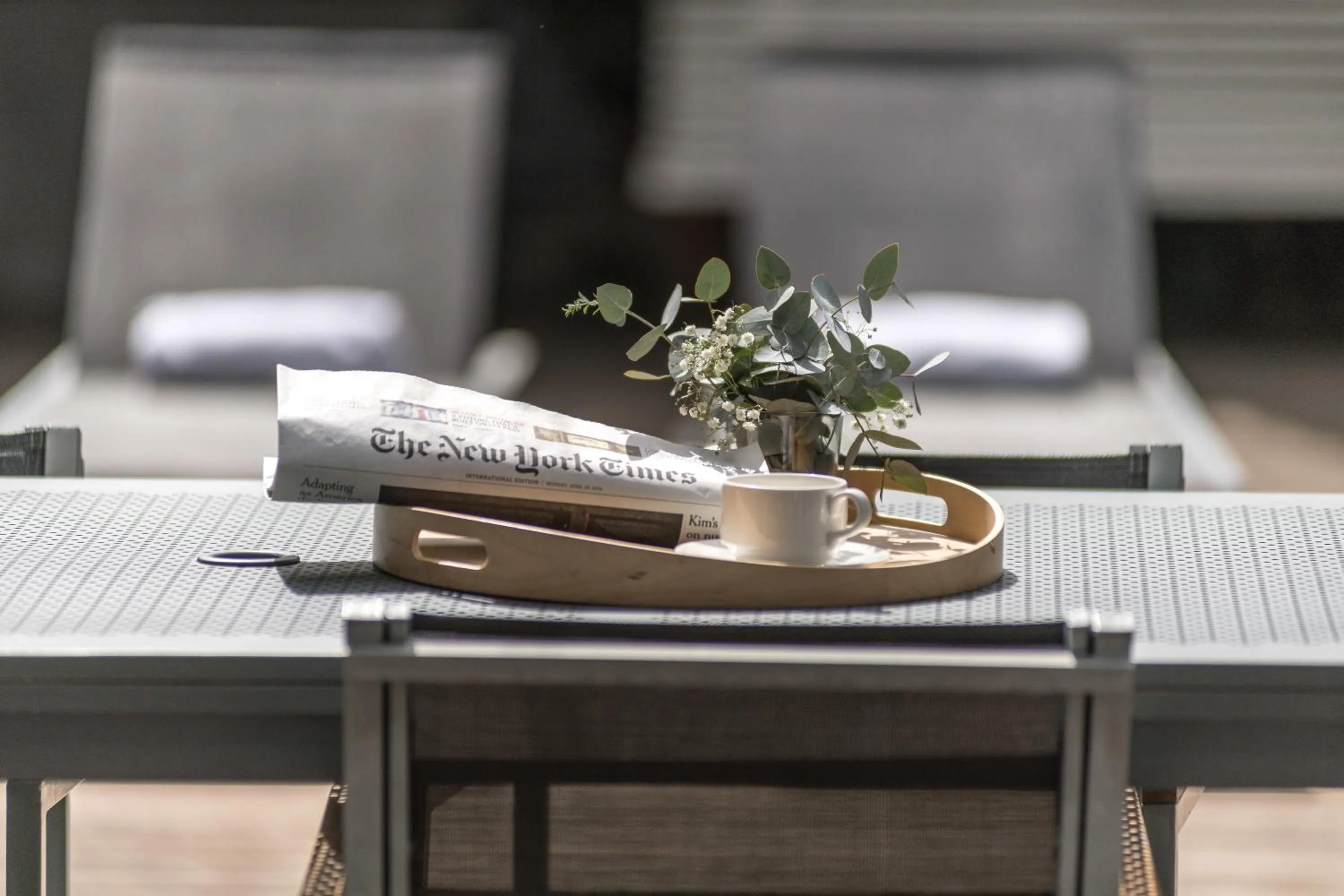 Garden in Casp 74 Apartments