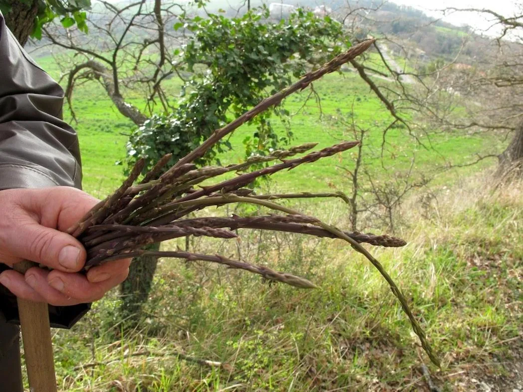 Property building in L'Oasi