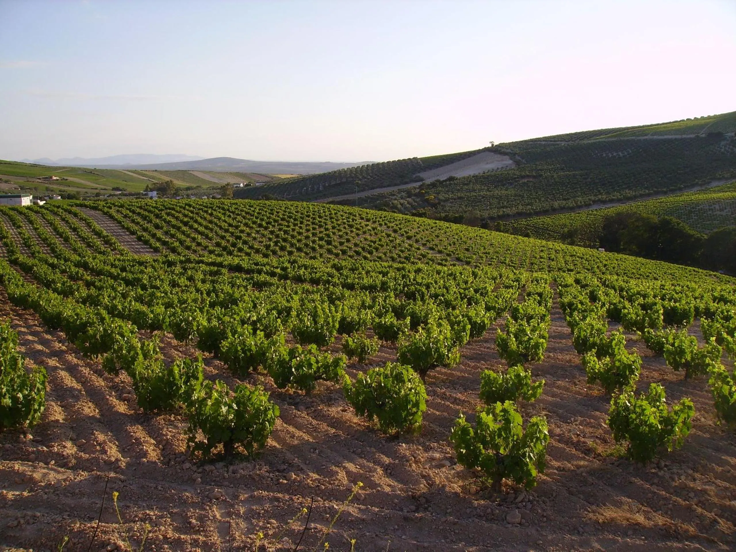 Natural landscape in Hostal Bellido
