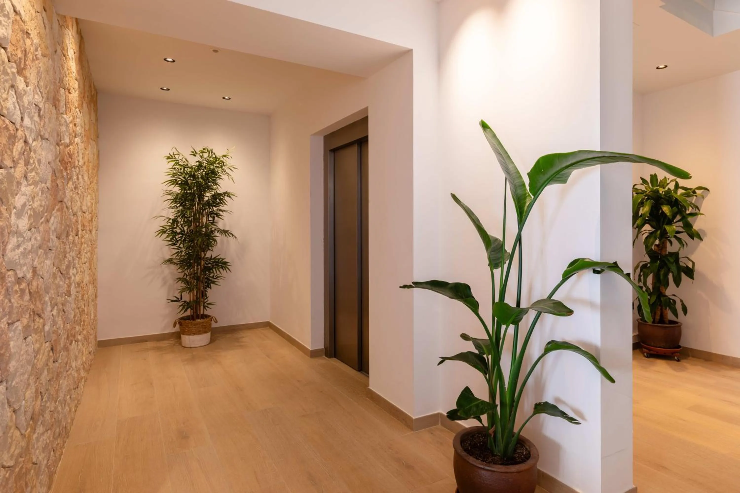 Property building in Hostal Marí