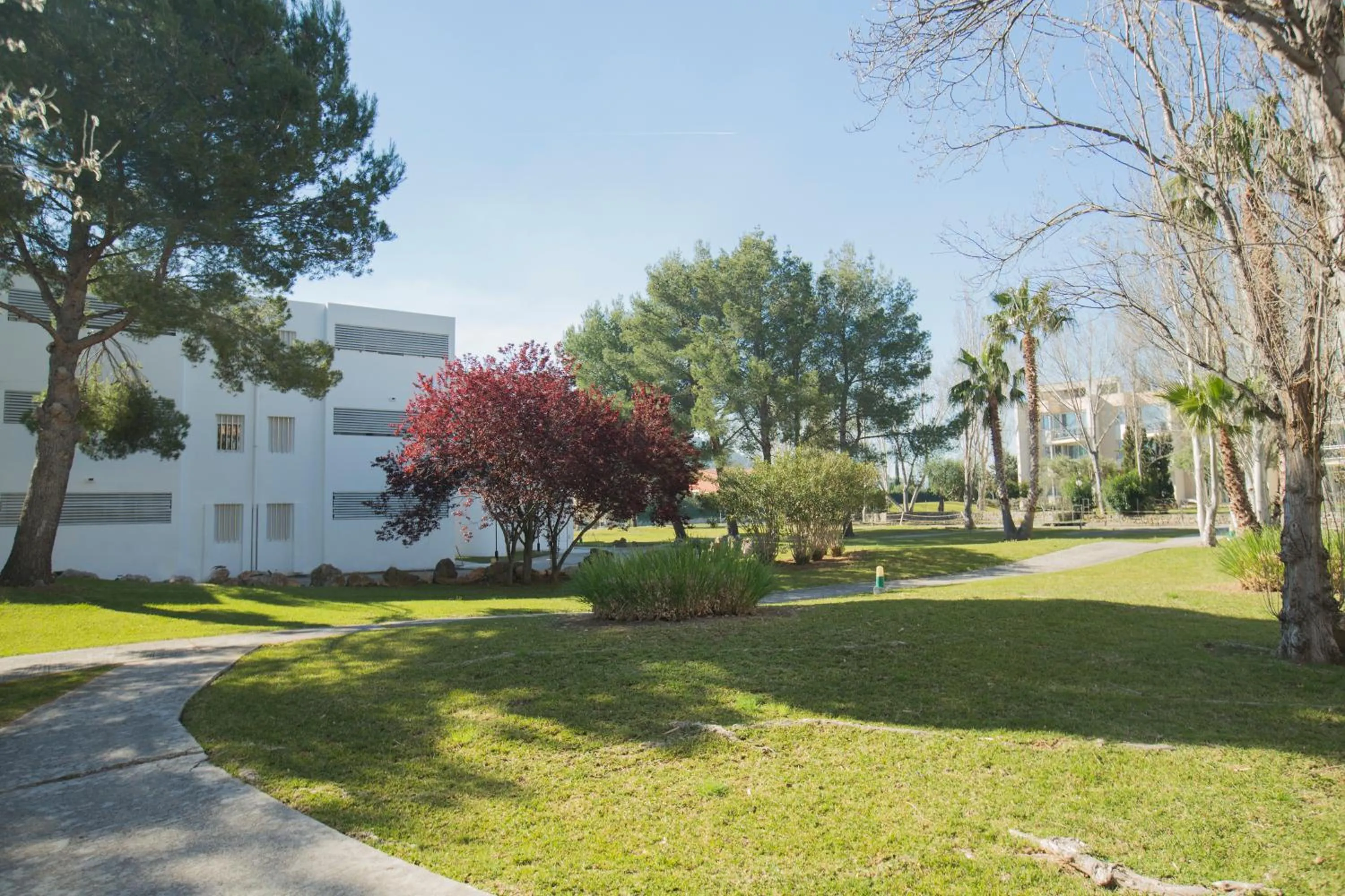 Garden in Apartamentos Habitat