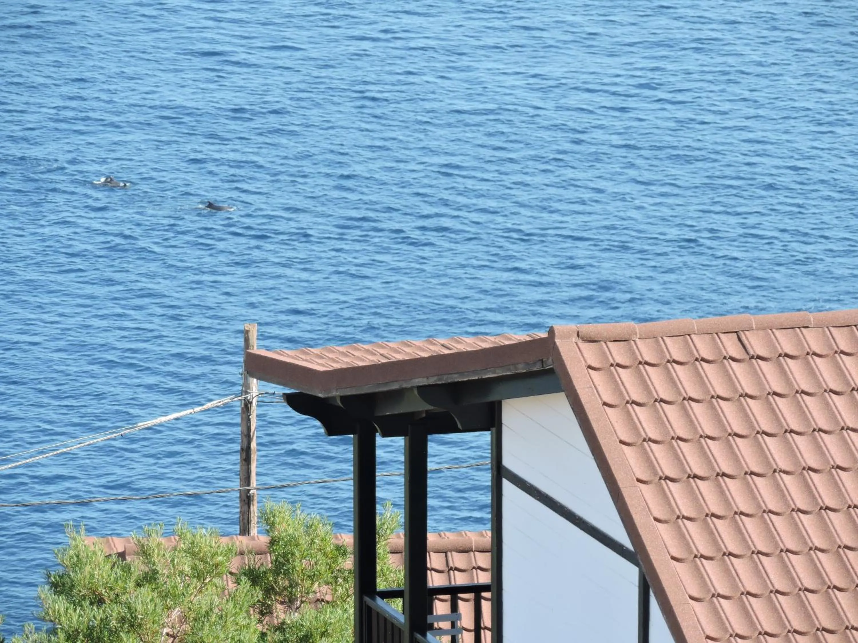 Sea view in Apartamentos Santa Ana - Adults Only