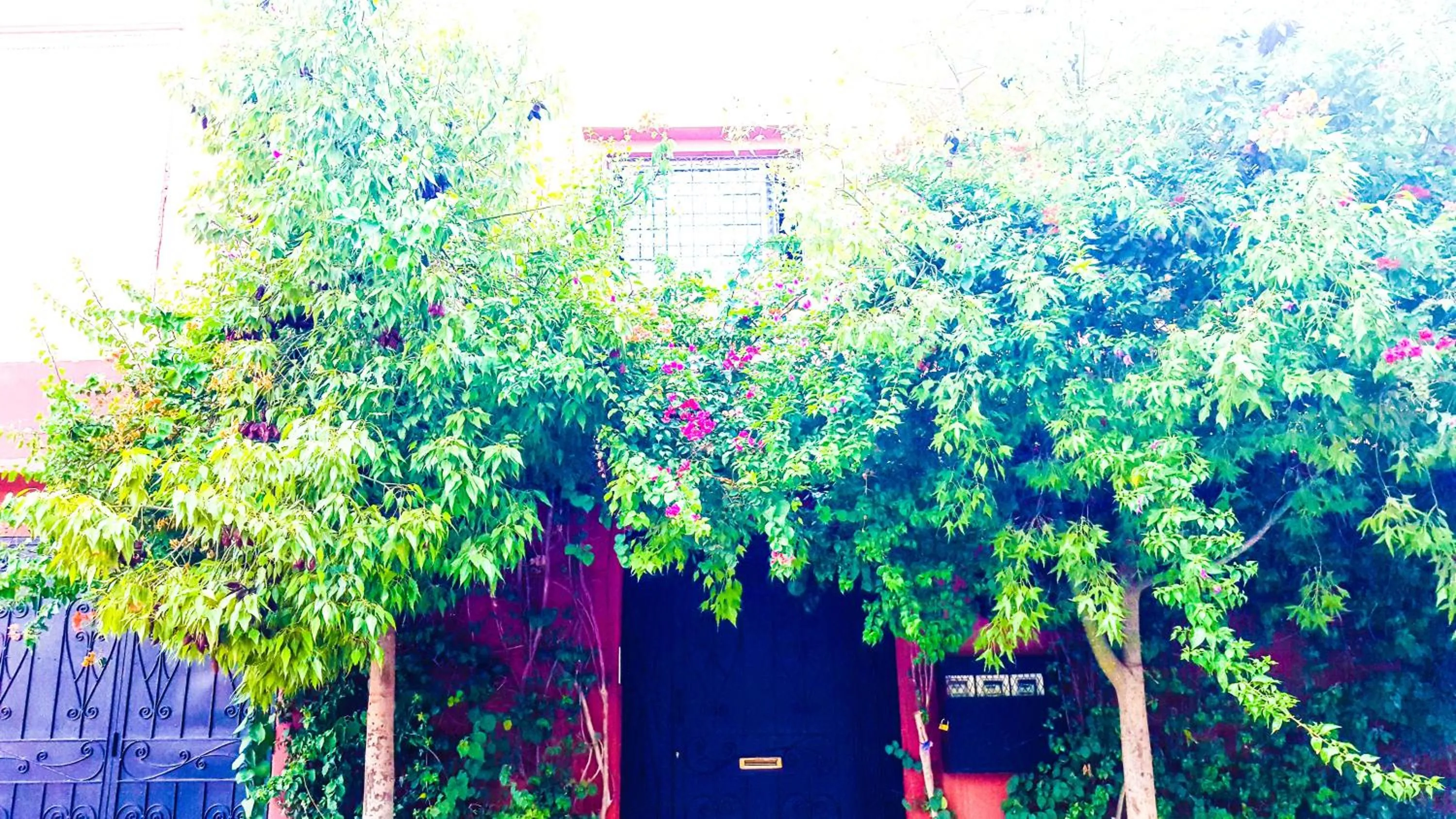 Apartment - Ground Floor in Villa Annakhil