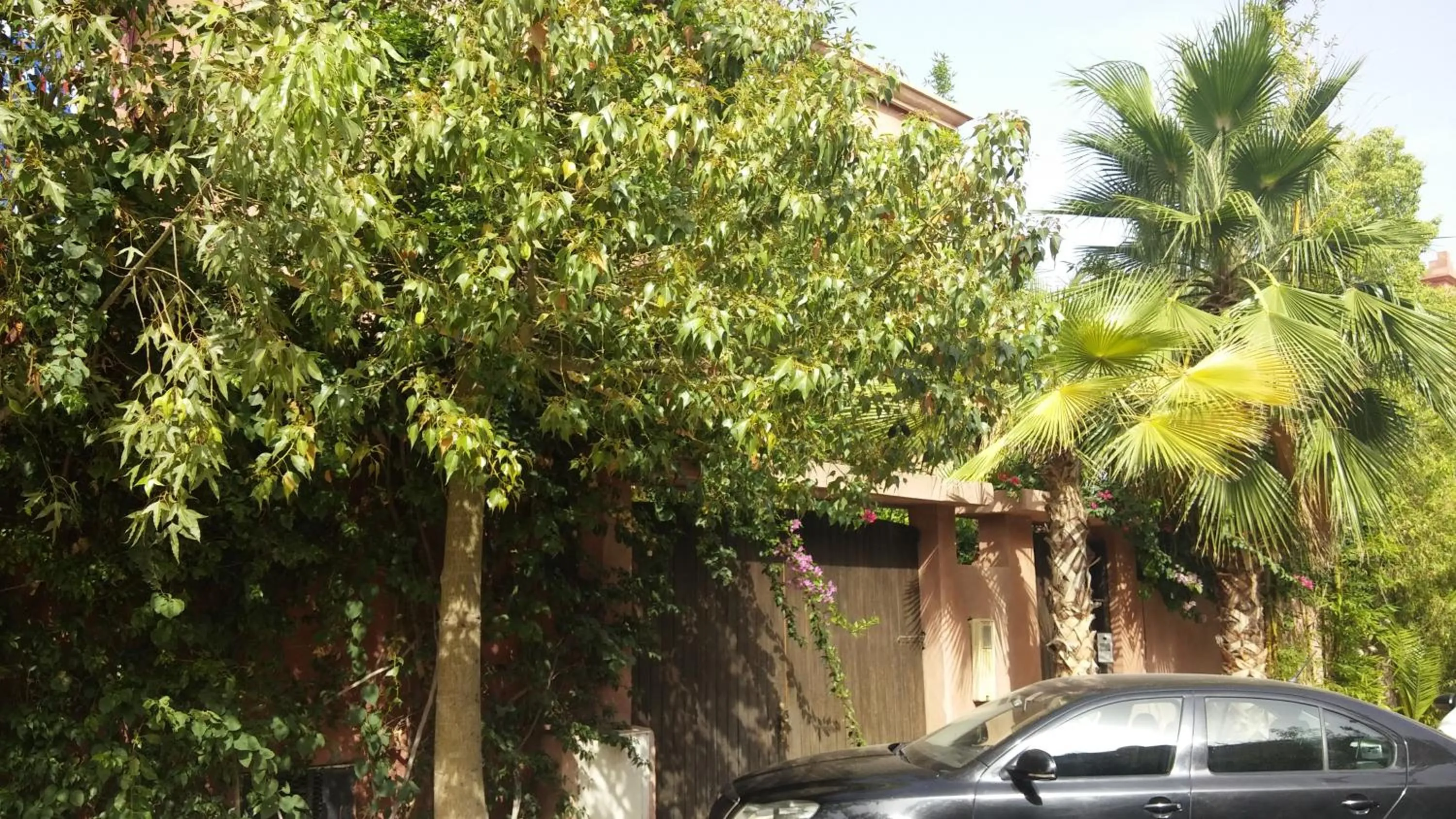 Street view in Villa Annakhil