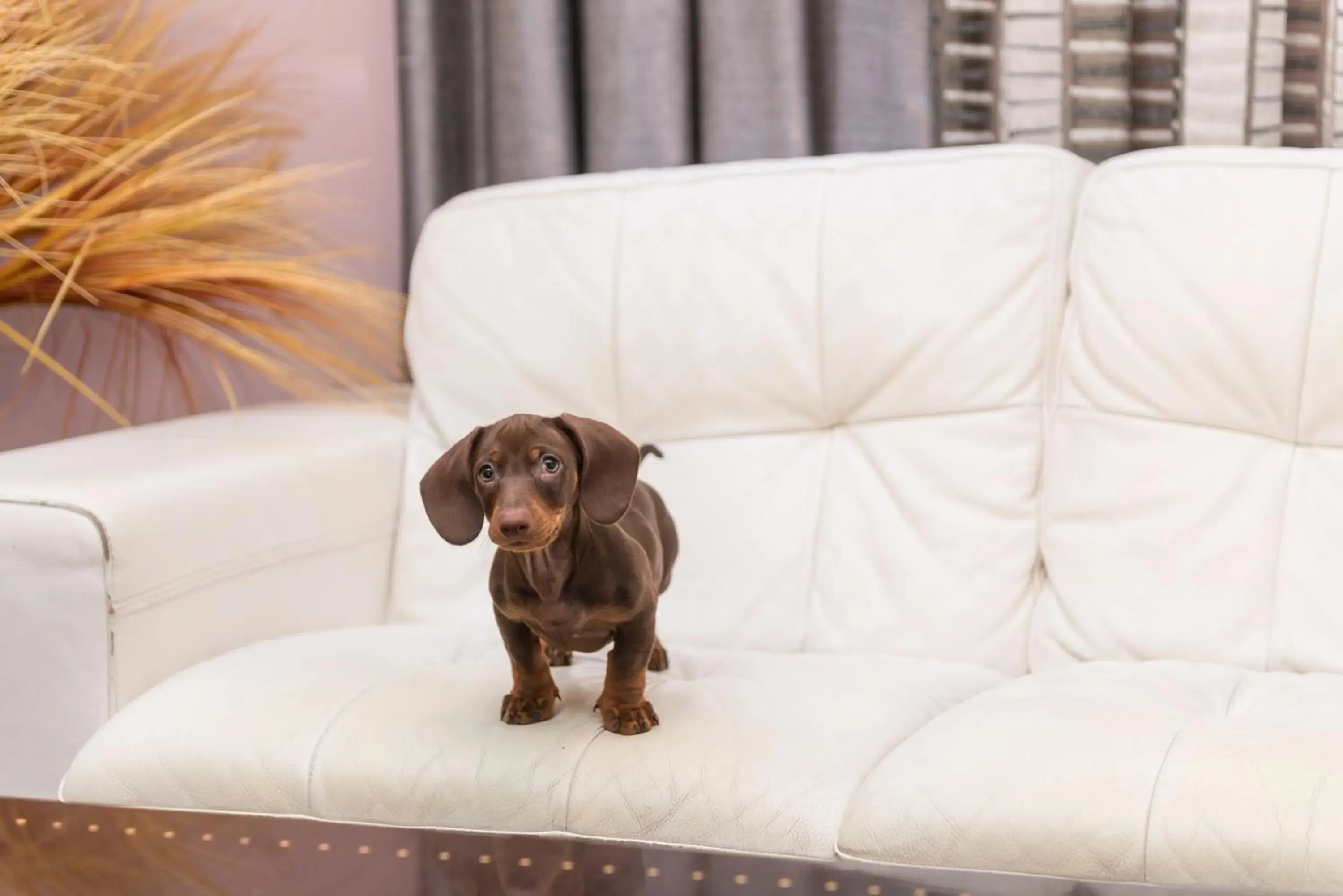 Living room in Hotel Torre Azul & Spa - Adults Only Living room in Hotel Torre Azul & Spa - Adults Only