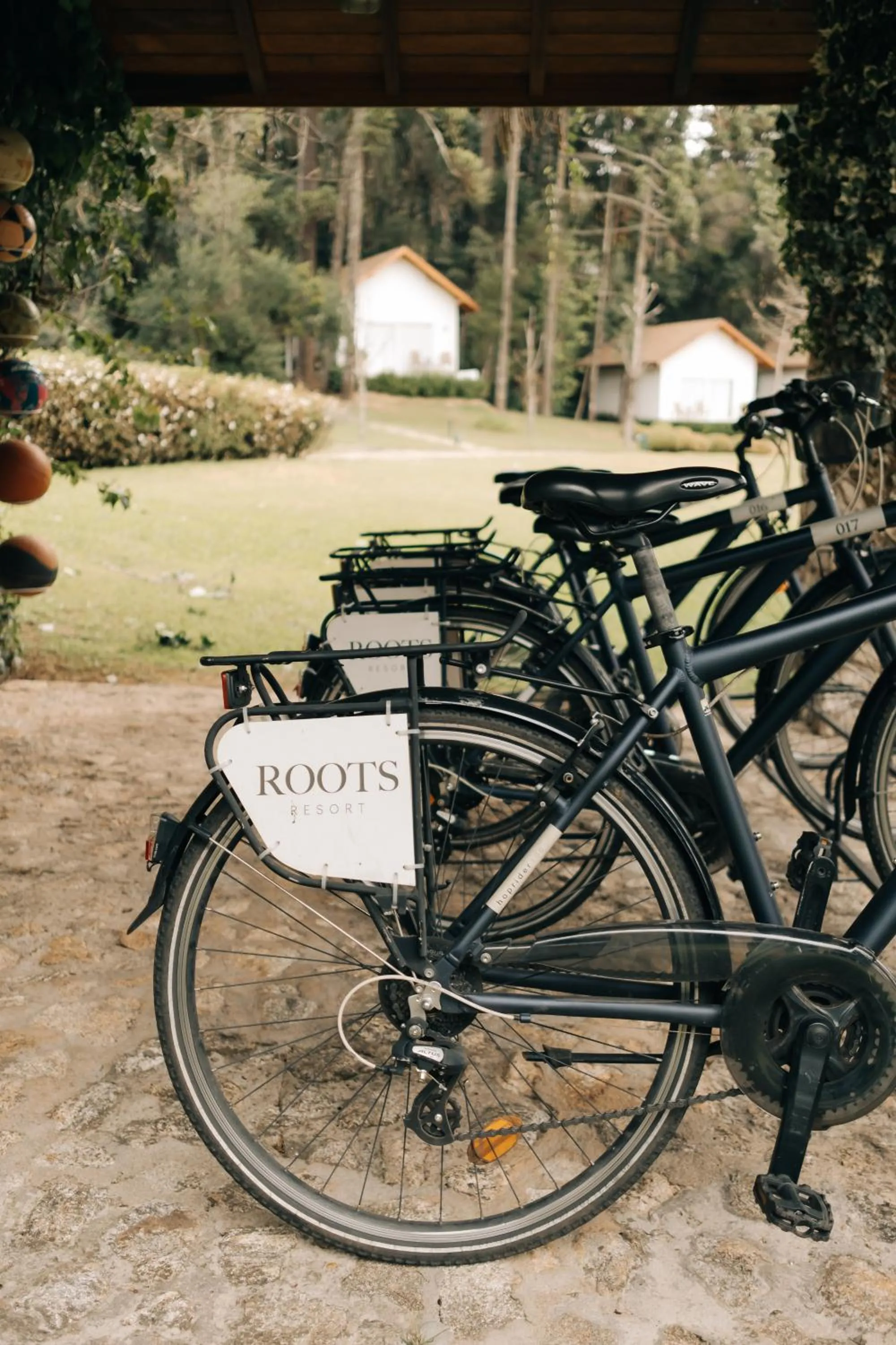 Activities in Roots Resort