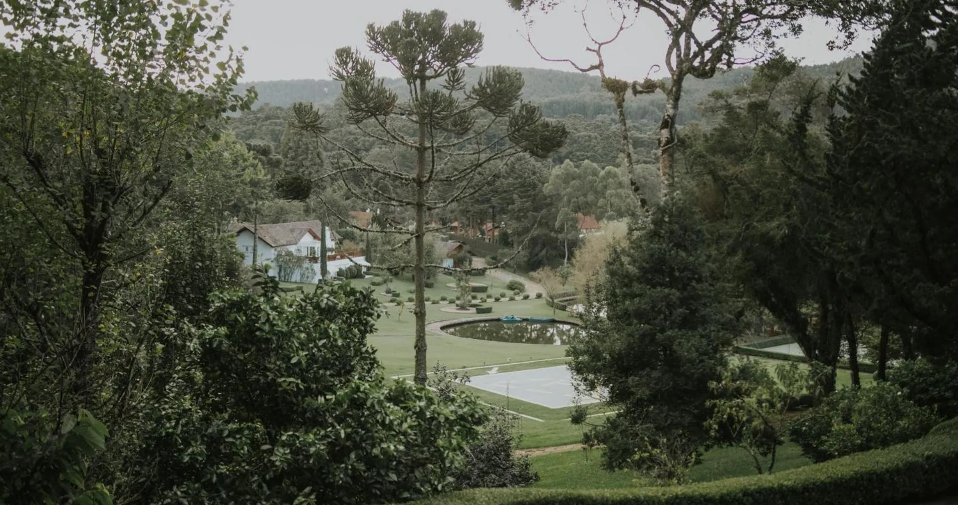 View (from property/room) in Roots Resort