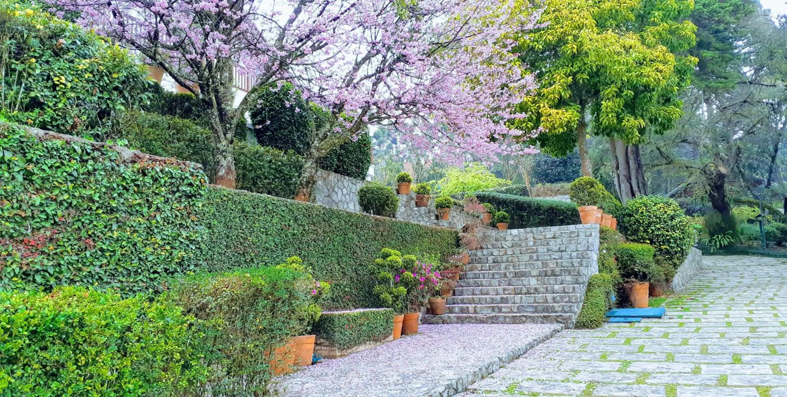 Natural landscape in Roots Resort