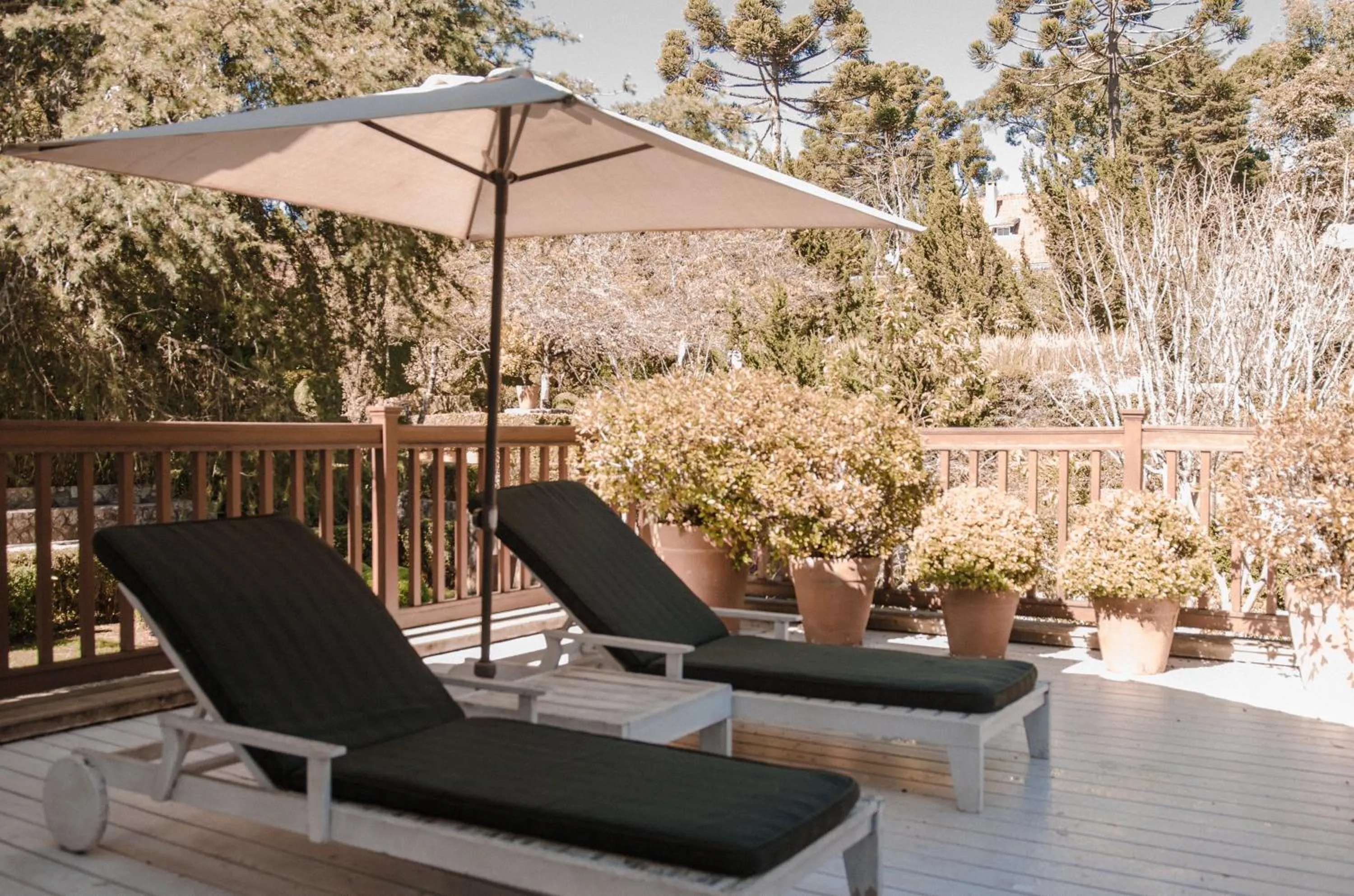 Balcony/Terrace in Roots Resort