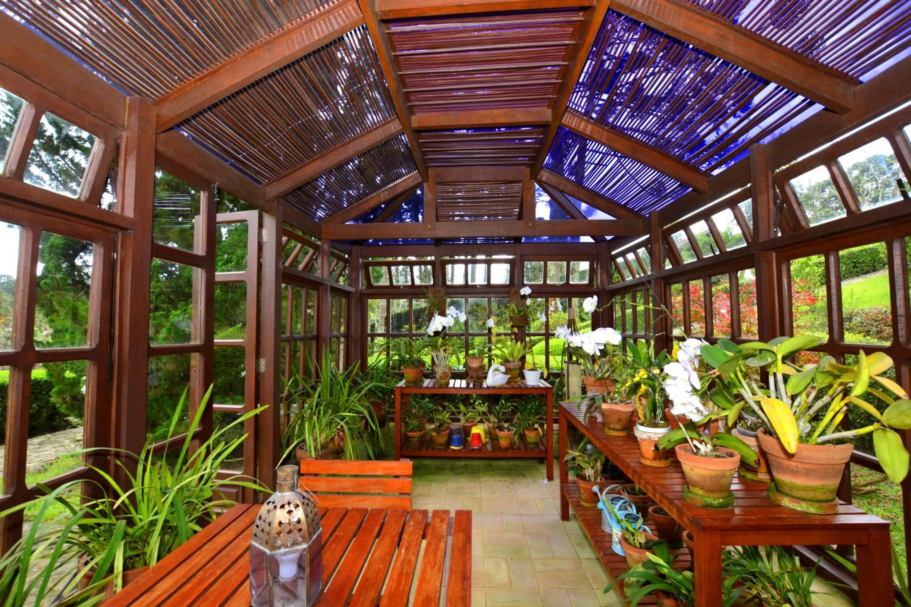 Activities in Roots Resort