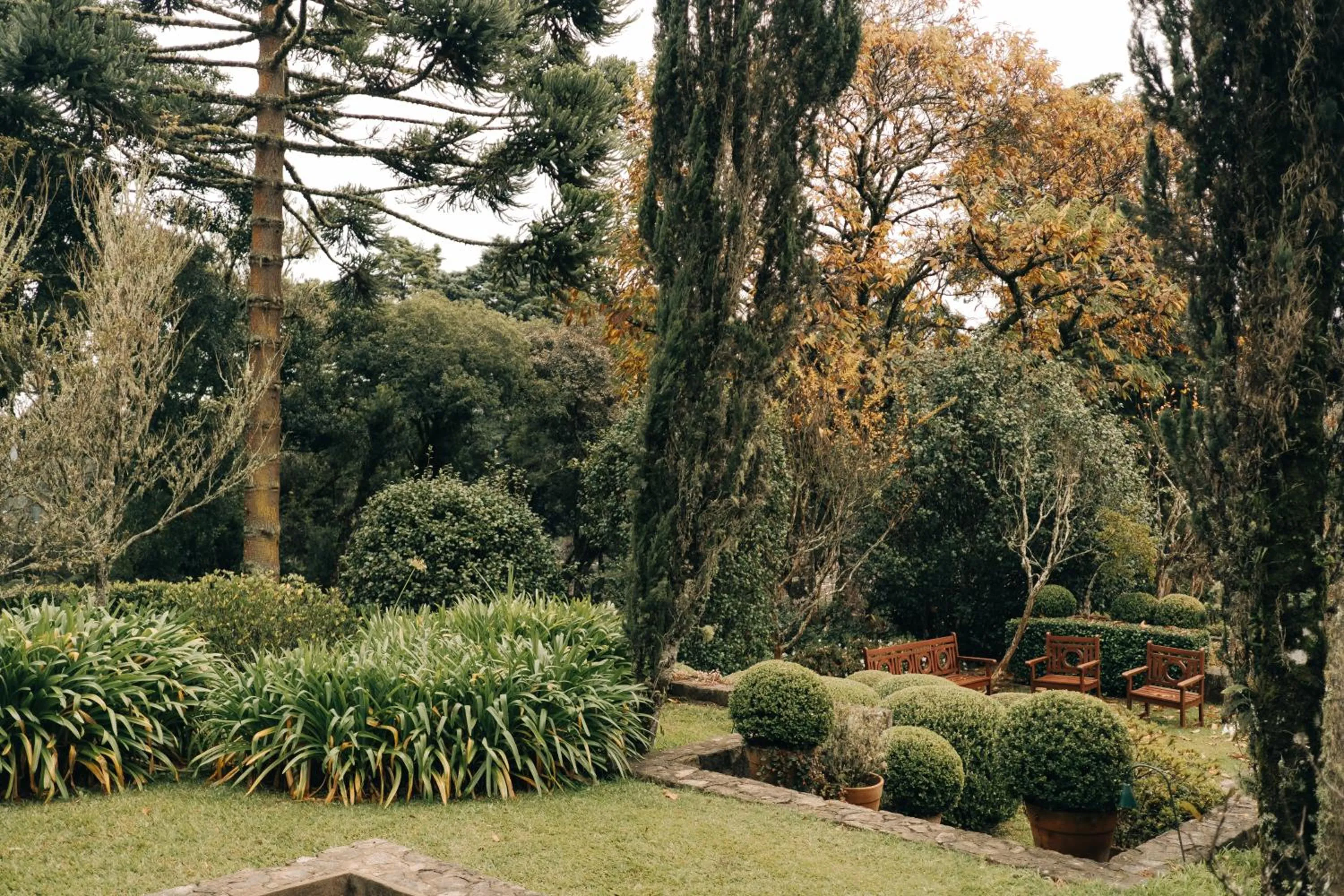 Garden in Roots Resort
