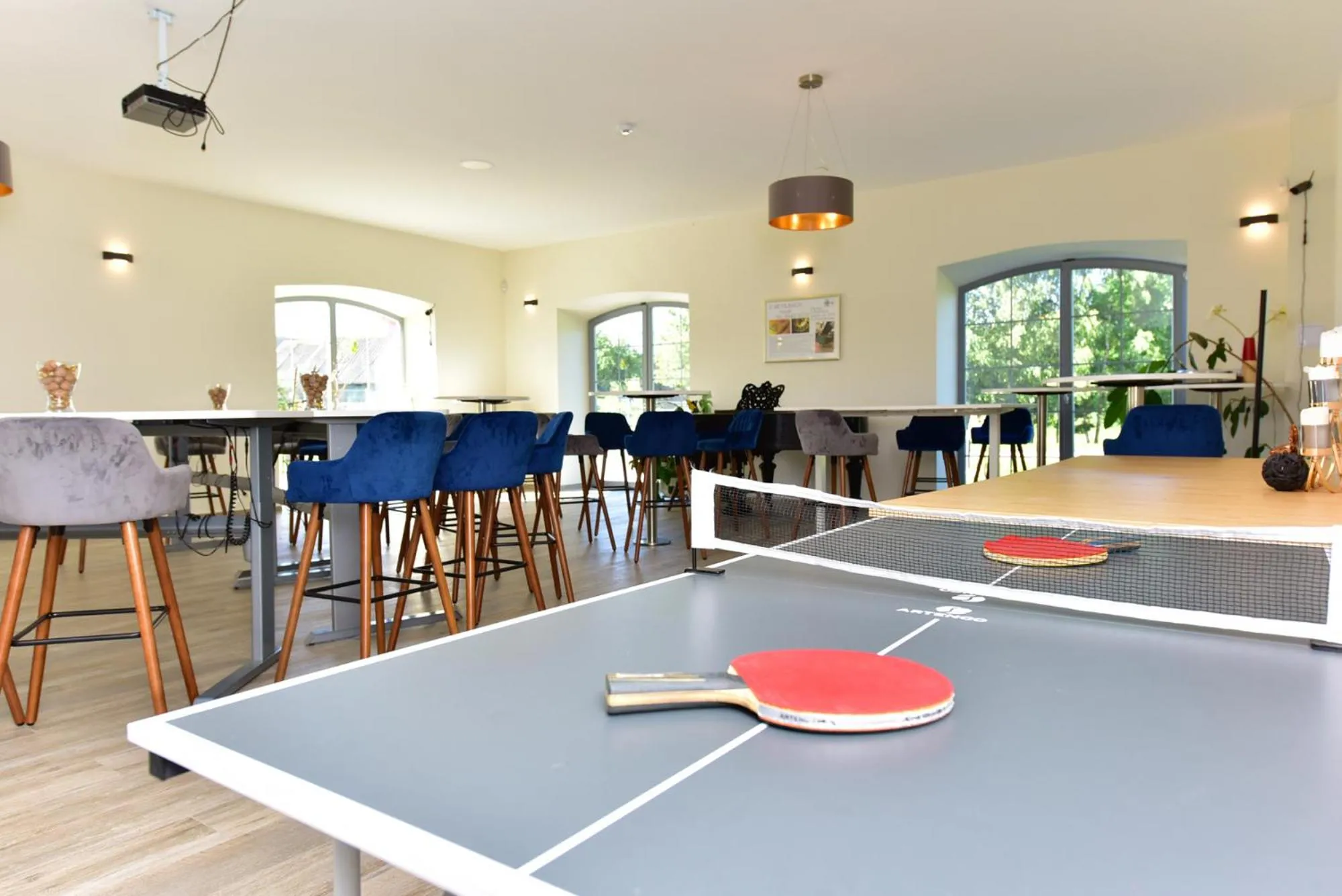 Game Room in Auroradream