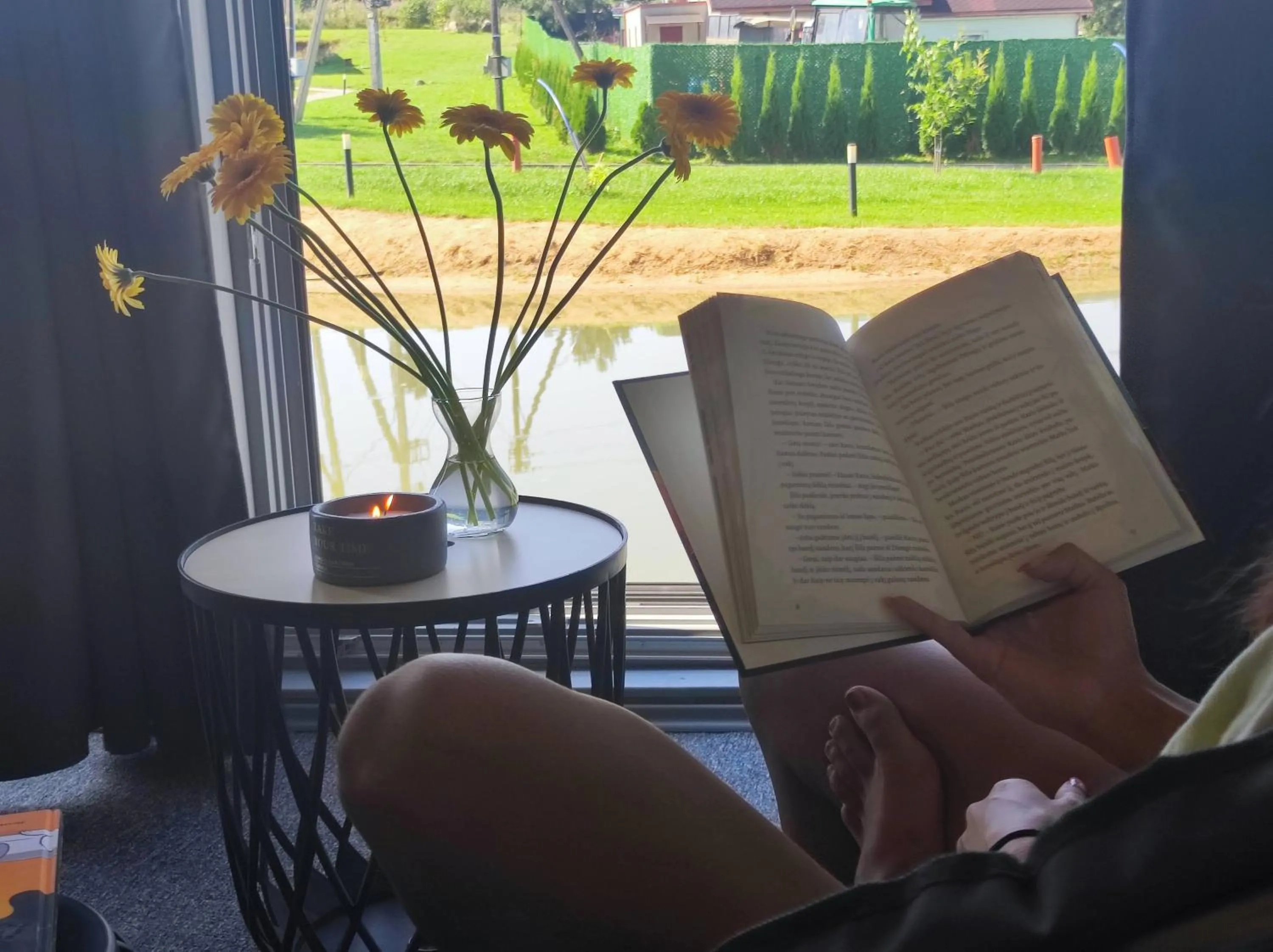 Living room in Auroradream