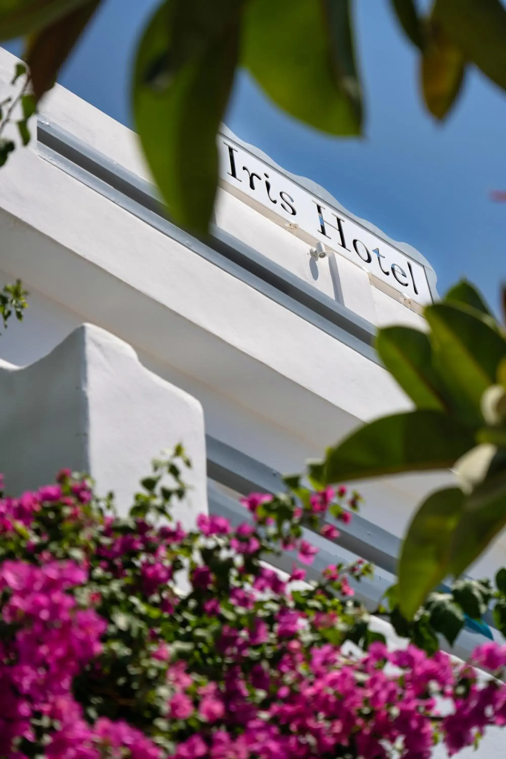 Property building in Hotel Iris Property building in Hotel Iris