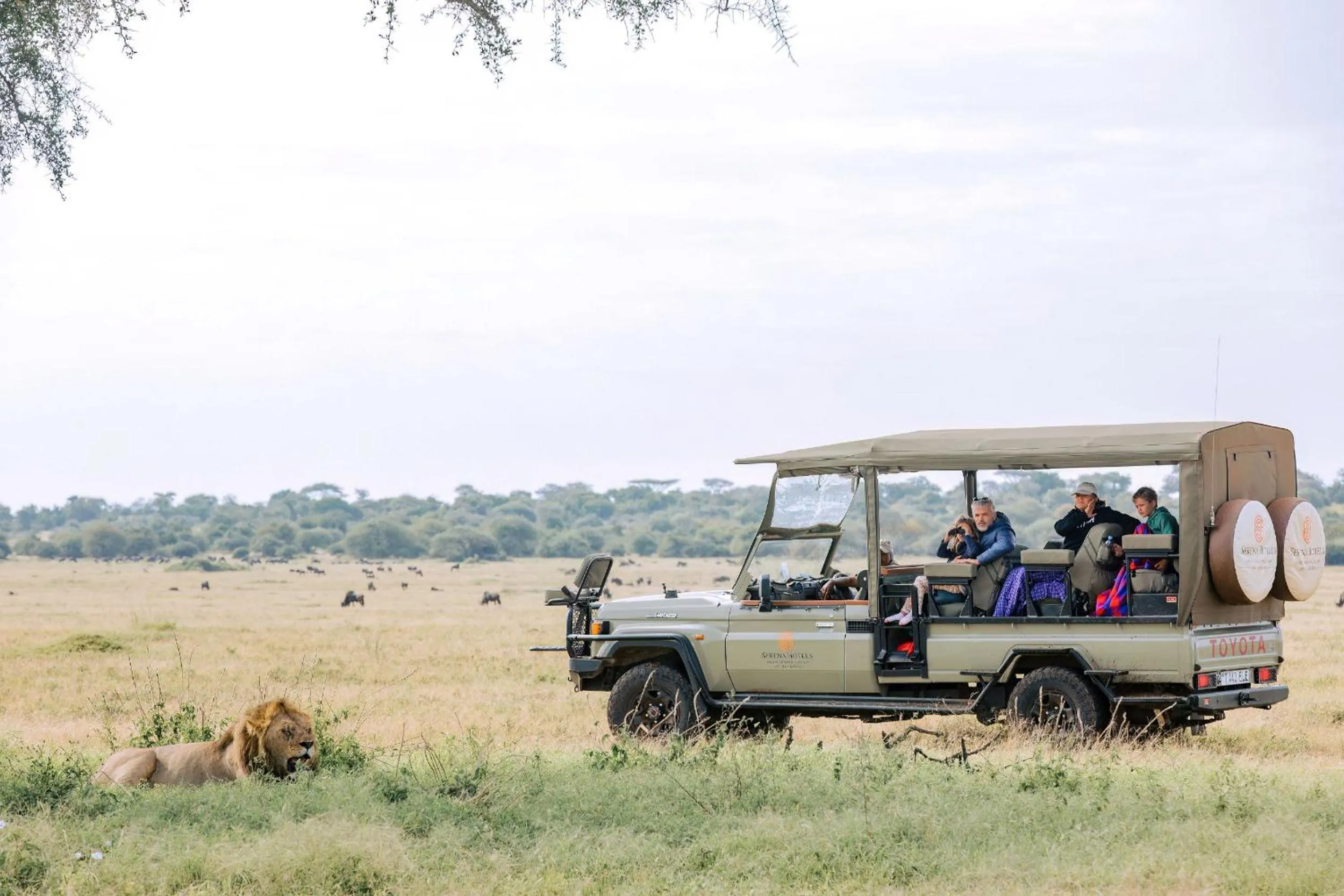Activities in Kirawira Serena Camp