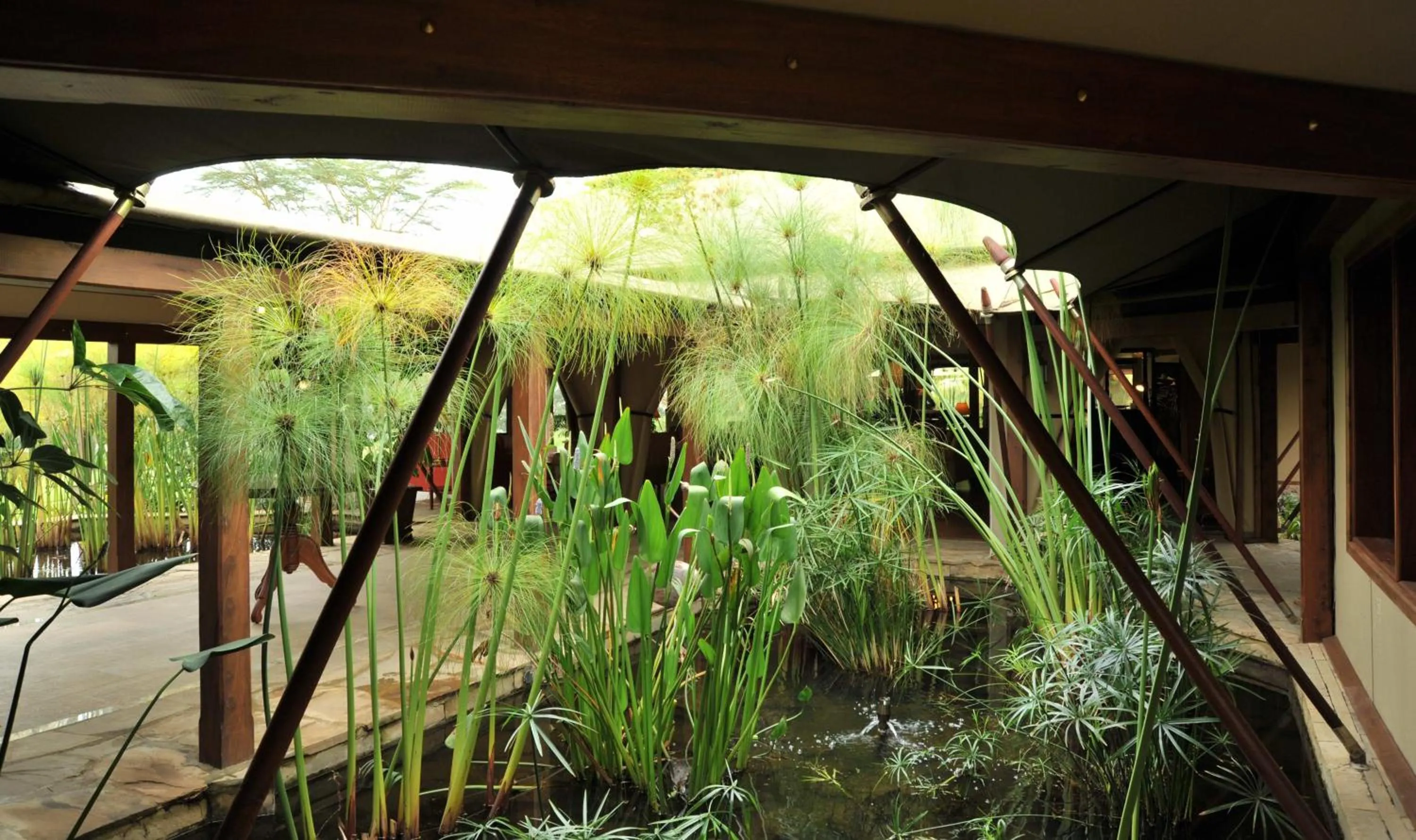 Property building in Lake Elmenteita Serena Camp