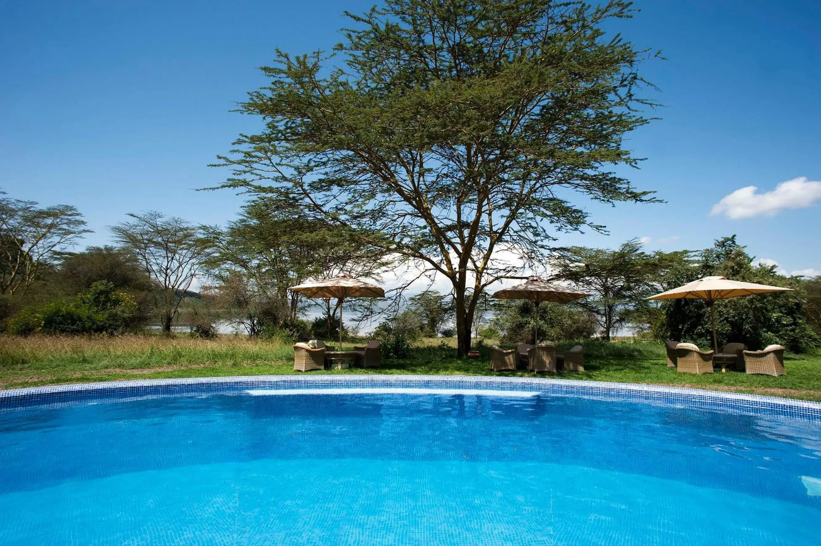 Pool view in Lake Elmenteita Serena Camp Pool view in Lake Elmenteita Serena Camp