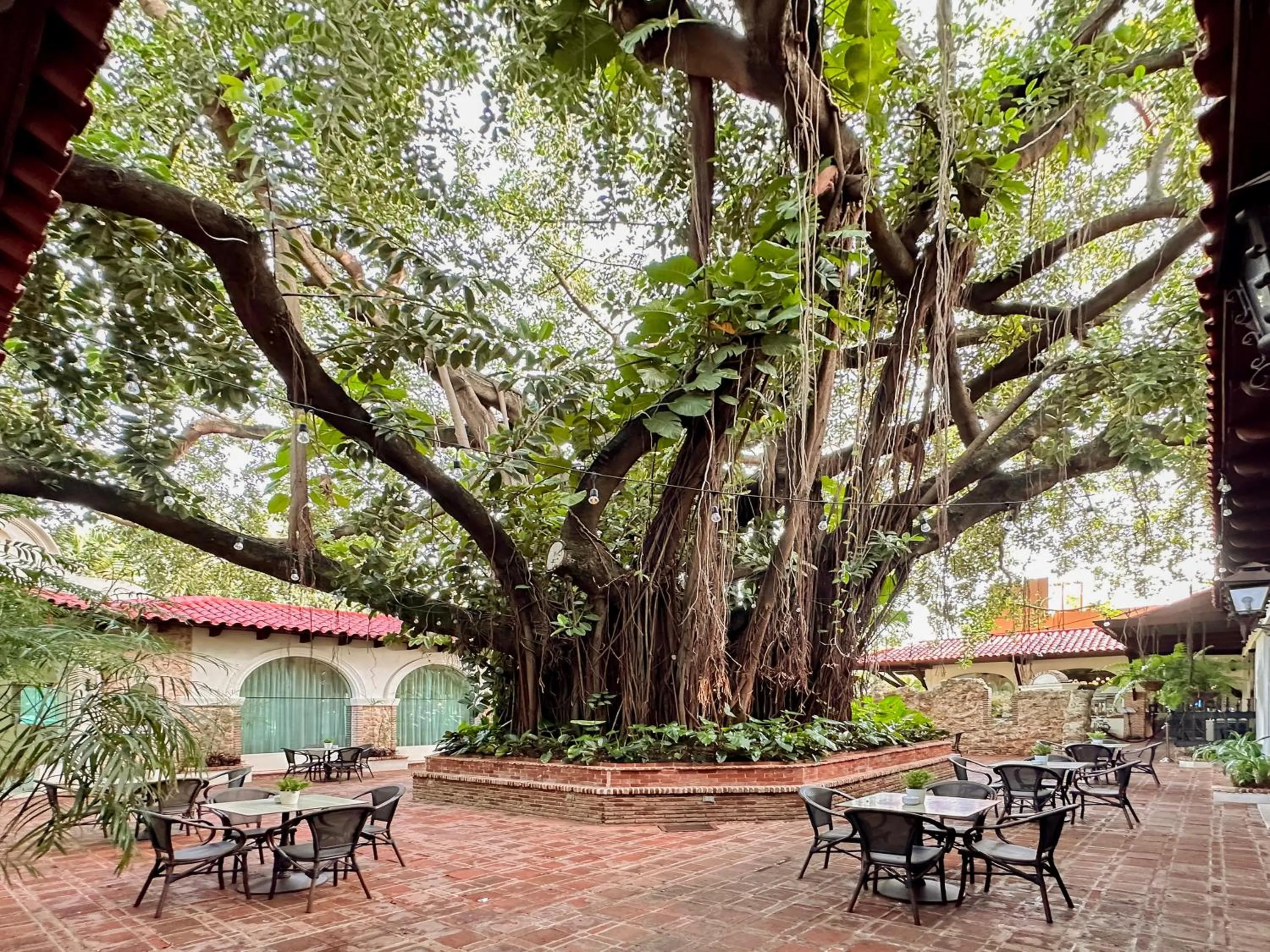 Restaurant/places to eat in El Embajador, a Royal Hideaway Hotel