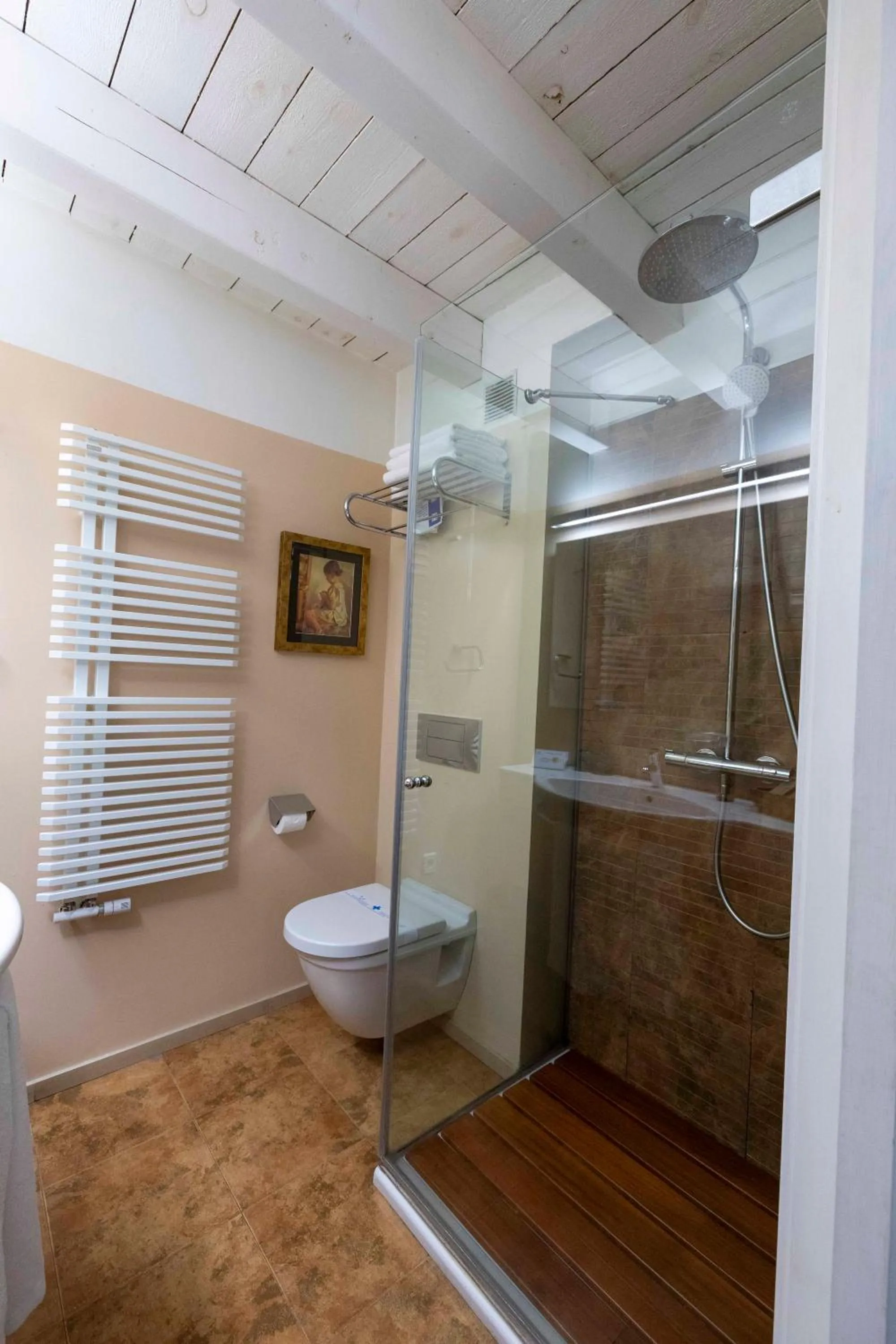 Shower in Hotel La Freixera