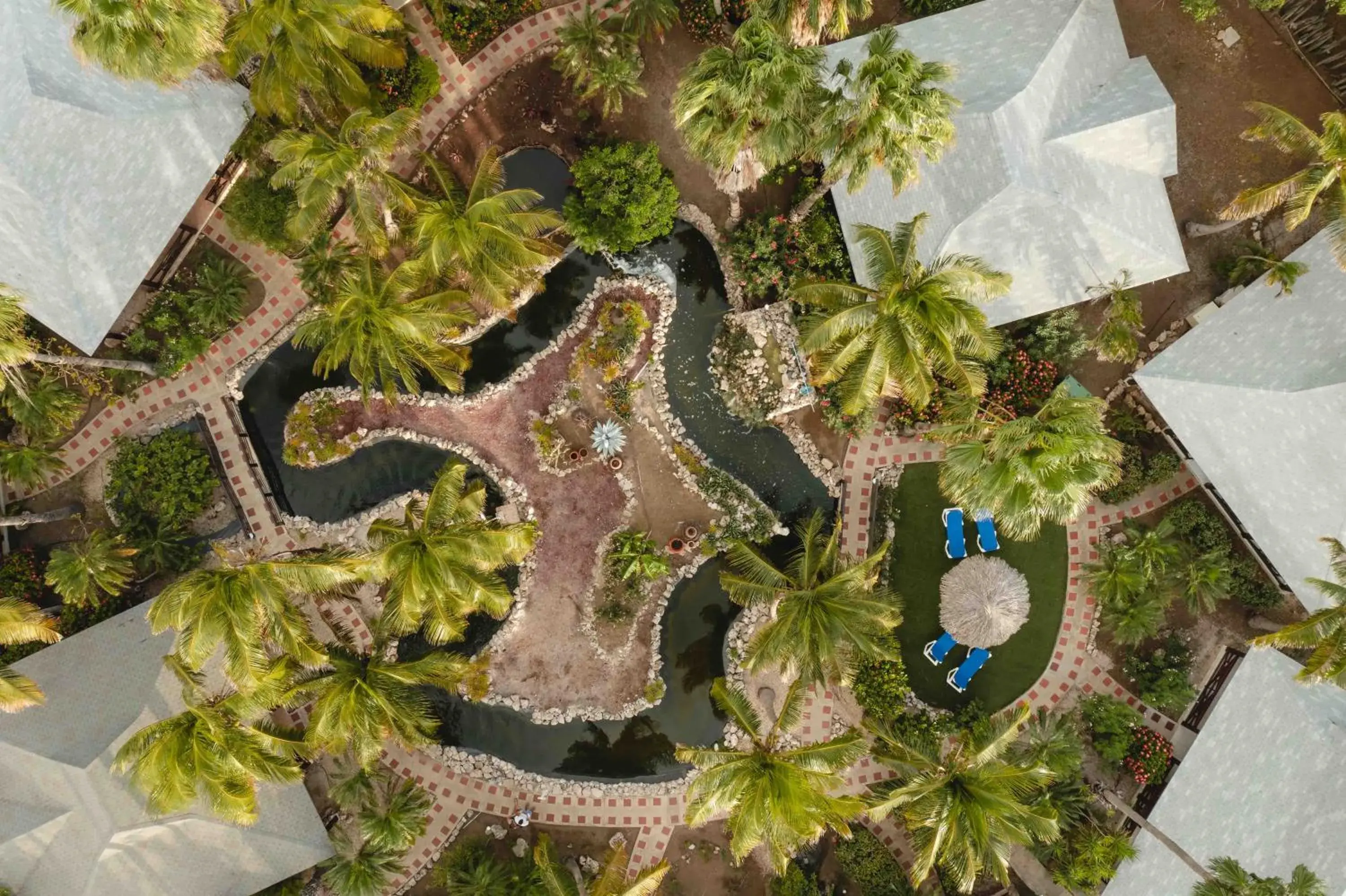 Bird's eye view in Captain Don's Habitat Bird's eye view in Captain Don's Habitat